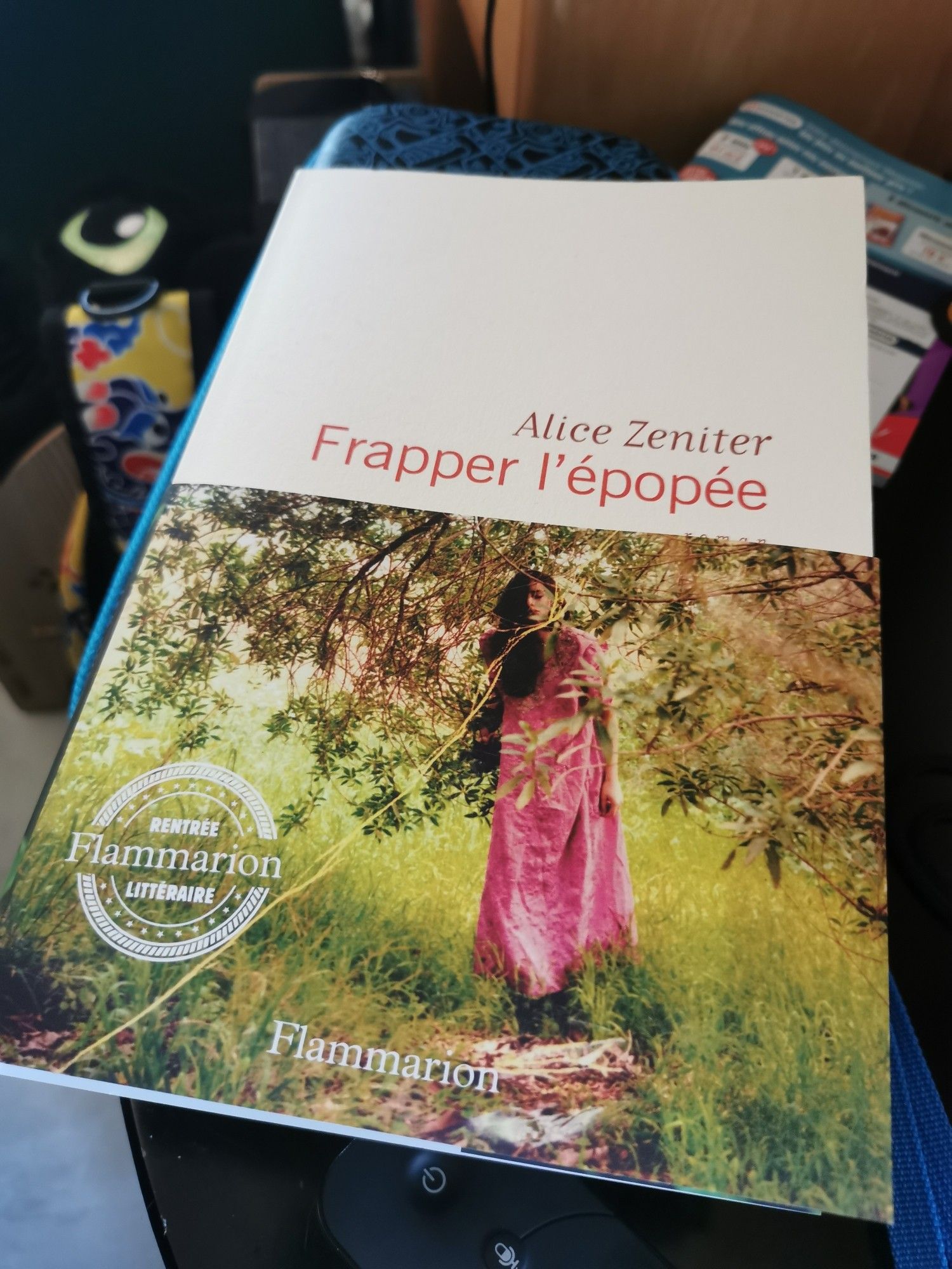 Couverture du dernier roman d'Alice Zeniter "Frapper l'épopée" paru chez Flammarion.