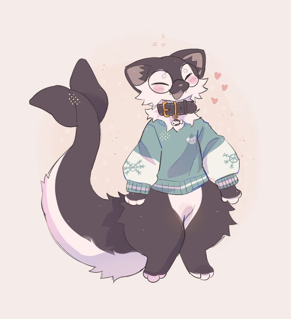 Orca kitty in a sweater 