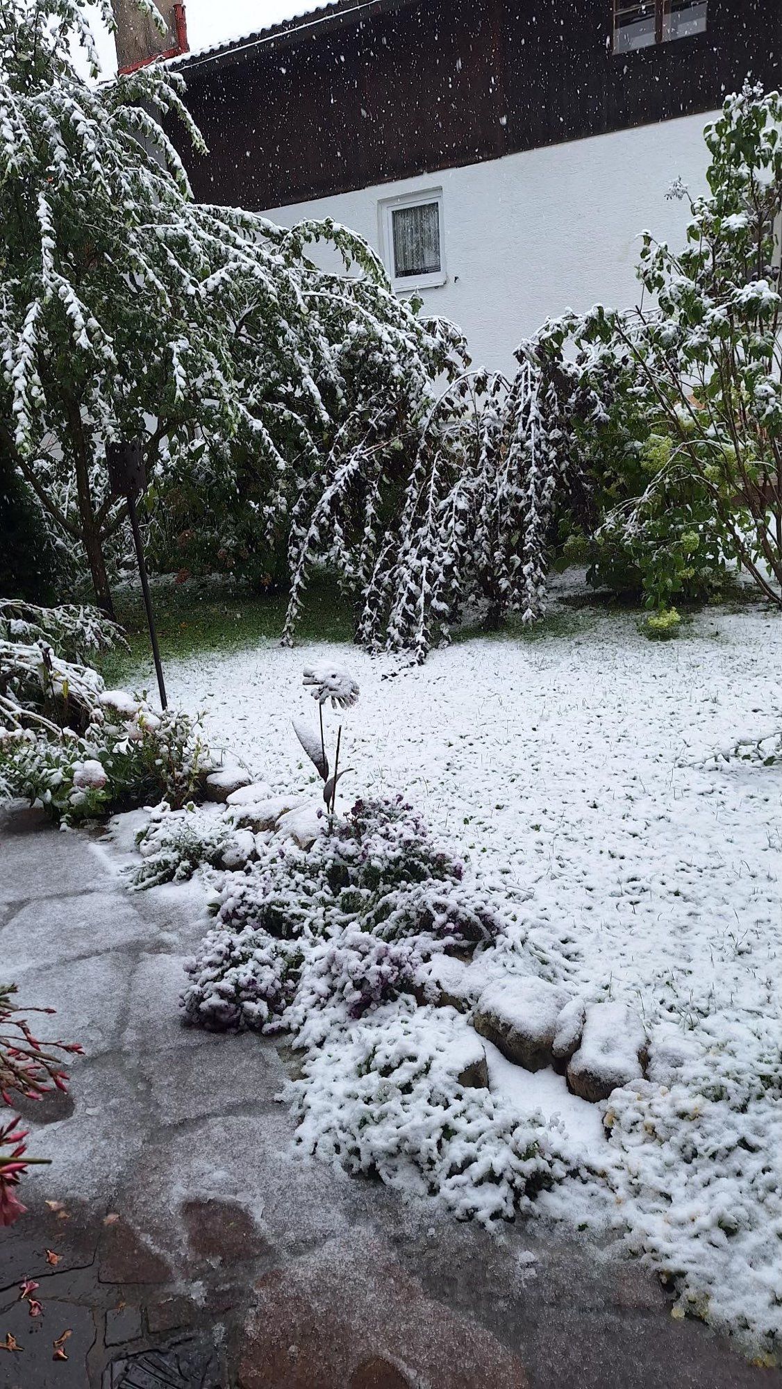 Garten mit dem ersten Zentimeter Schnee