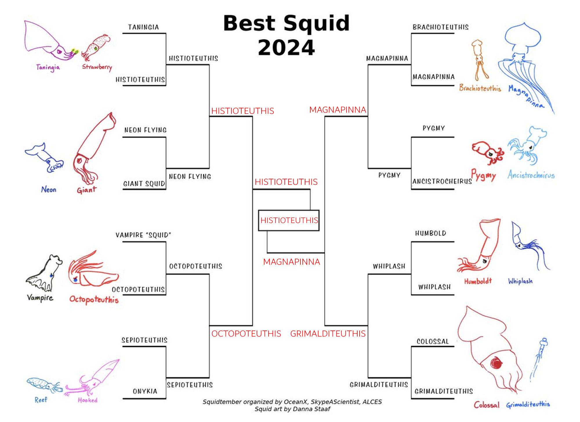 A tournament bracket for the Best Squid 2024 tournament. There are 16 drawings of the 16 candidates, with the first round of match ups.

In black, the winners of the first round are written. Taningia vs Histioteuthis: Winner Histioteuthis. Neon Flying Squid vs Giant Squid: Winner Neon Flying. Vampire "Squid" vs Octopoteuthis: Winner Octopoteuthis. Sepioteuthis vs Onykia: Winner Sepioeuthis. Brachioteuthis vs Magnapinna: WInner Magnapinna. Pygmy squid vs Ancistrocheirus: Winner Pygmy. Humboldt squid vs Whiplash Squid: Winner Whiplash. Colossal squid vs grimalditeuthis: winner Grimalditeuthis.

In red, the predictions for the remaining match ups. It shows histioteuthis vs magnapinna in the finals with histioteuthis winning.

At the bottom of the image, it says "Squidtember organized by OceanX, SkypeAScientist, ALCES Squid art by Danna Staaf"