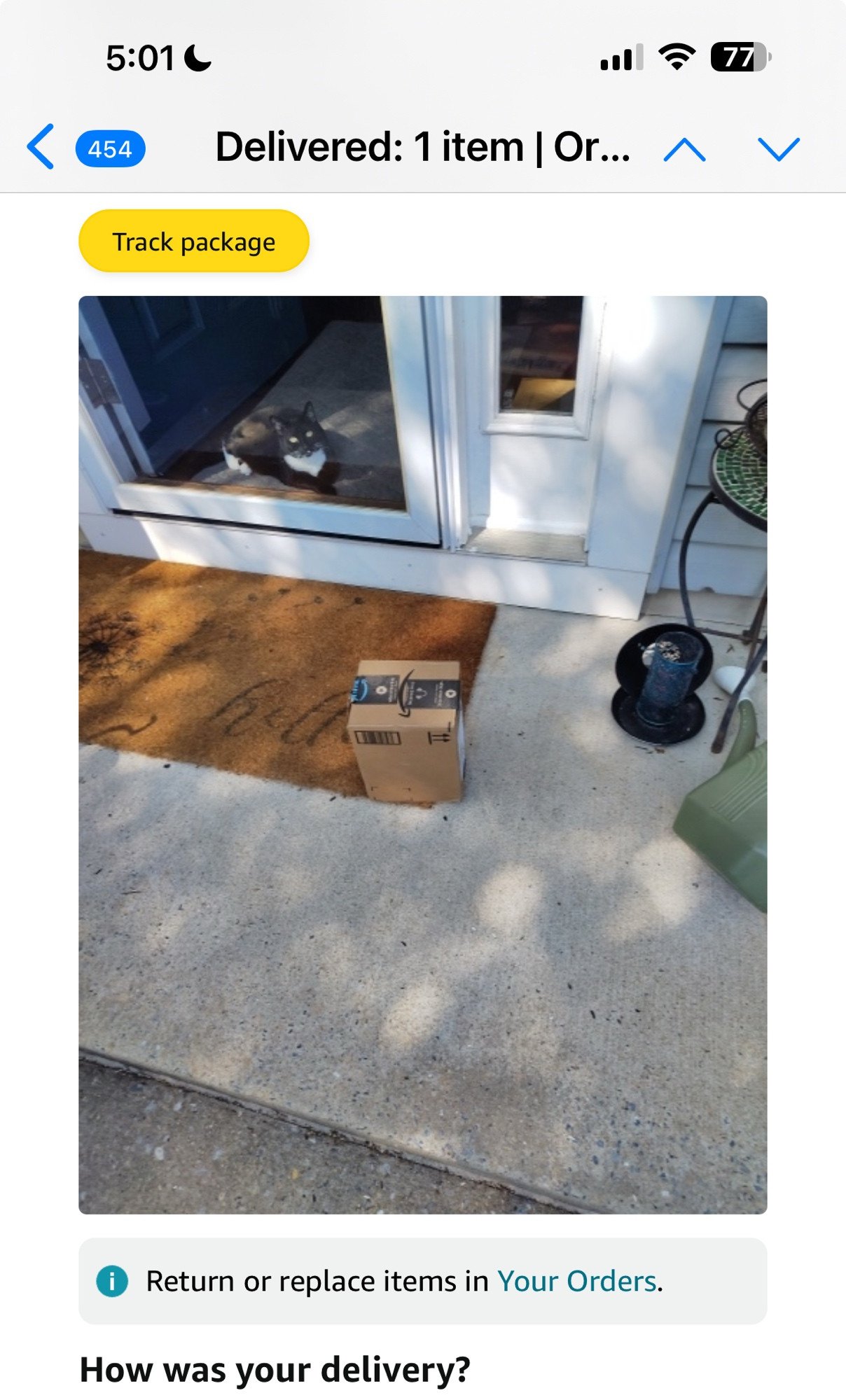 Amazon package on a front step with a very cute tuxedo cat looking through the door