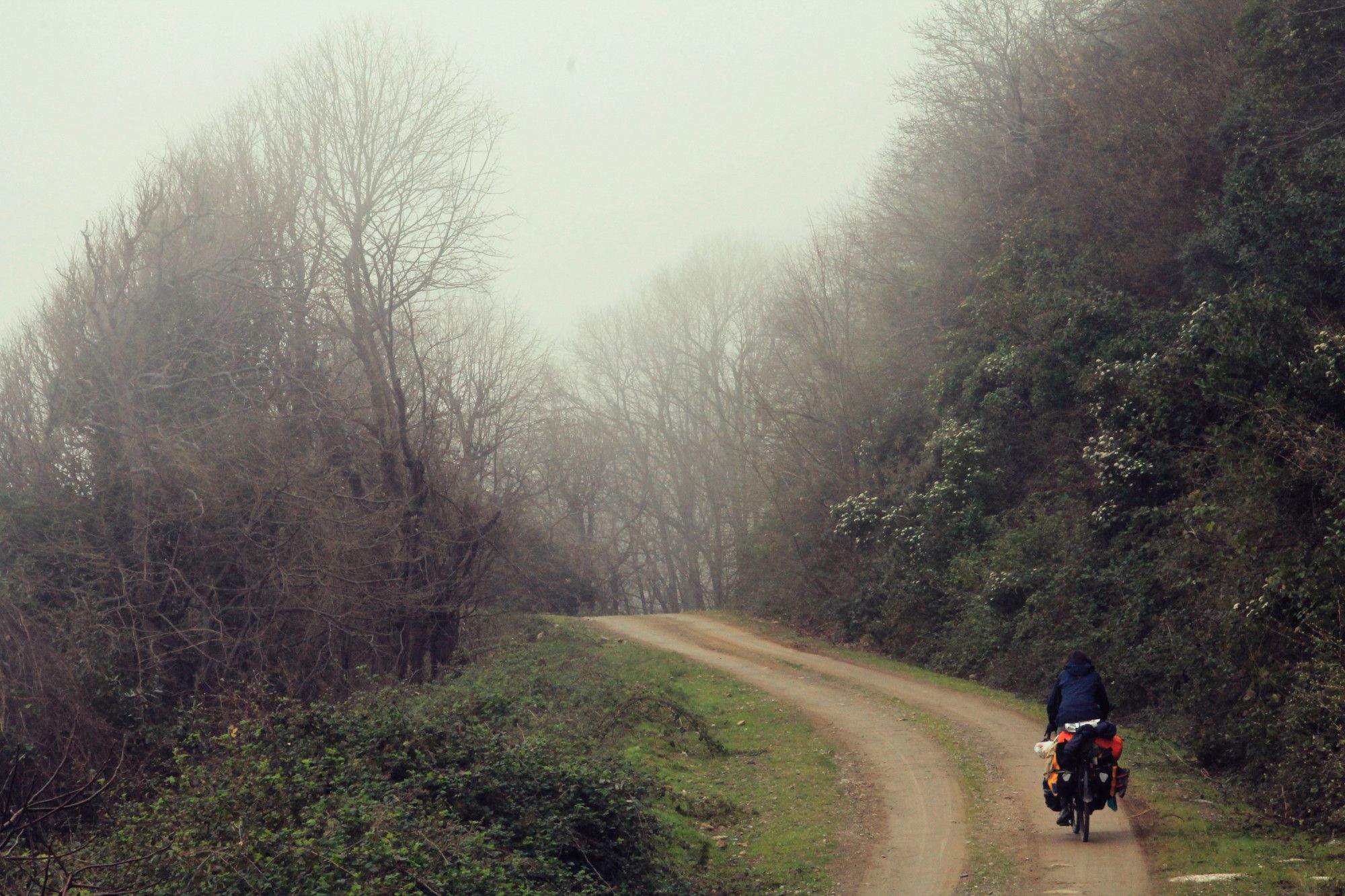 cycliste sur chemin de forêt en montée, brouillard