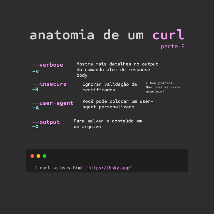 Imagem explicando como montar um curl parte 2