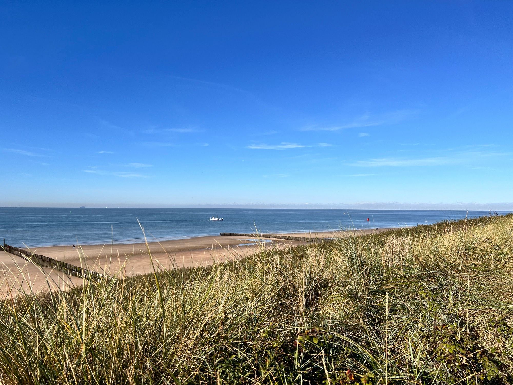 Zicht op zee vanaf de duinen. Achter het helmgras het strand. Strakblauwe lucht. In het midden vaart een wit bootje