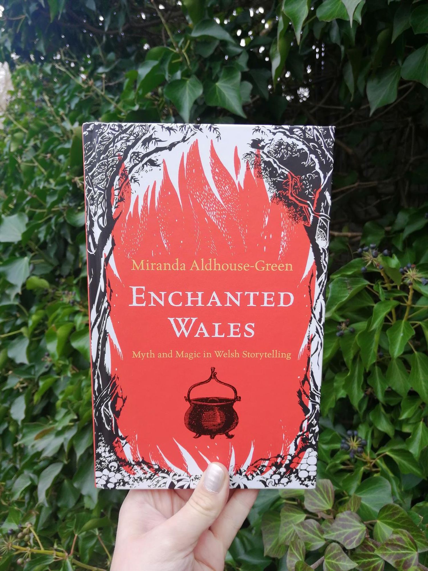 Holding Enchanted Wales