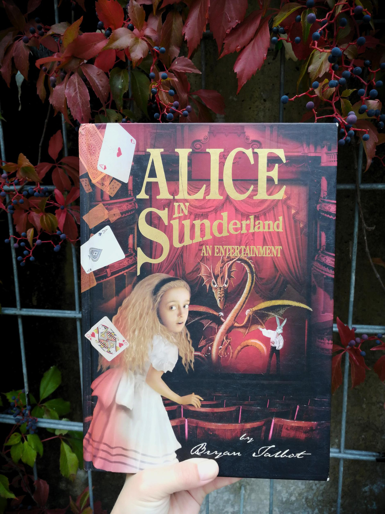 The graphic novel "Alice in Sunderland" in front of a wall overgrown with red leaves and berries