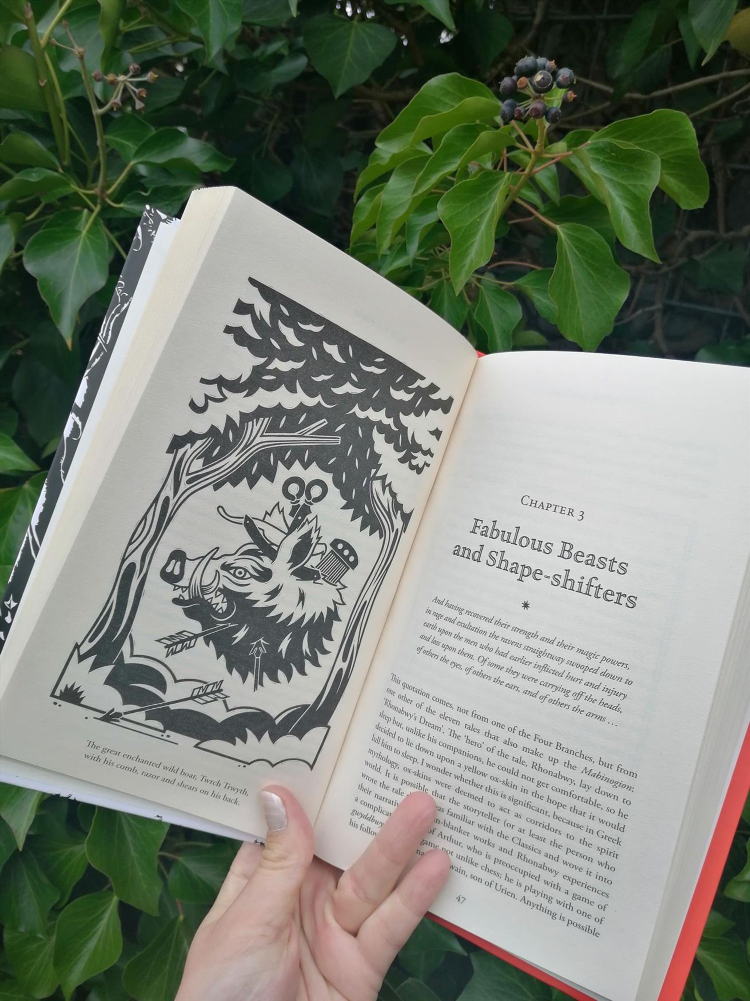 A look inside of Enchanted Wales, showing an illustration on "Fabulous Beasts and Shape-Shifters", with the mythical boar Twrch Trwyth