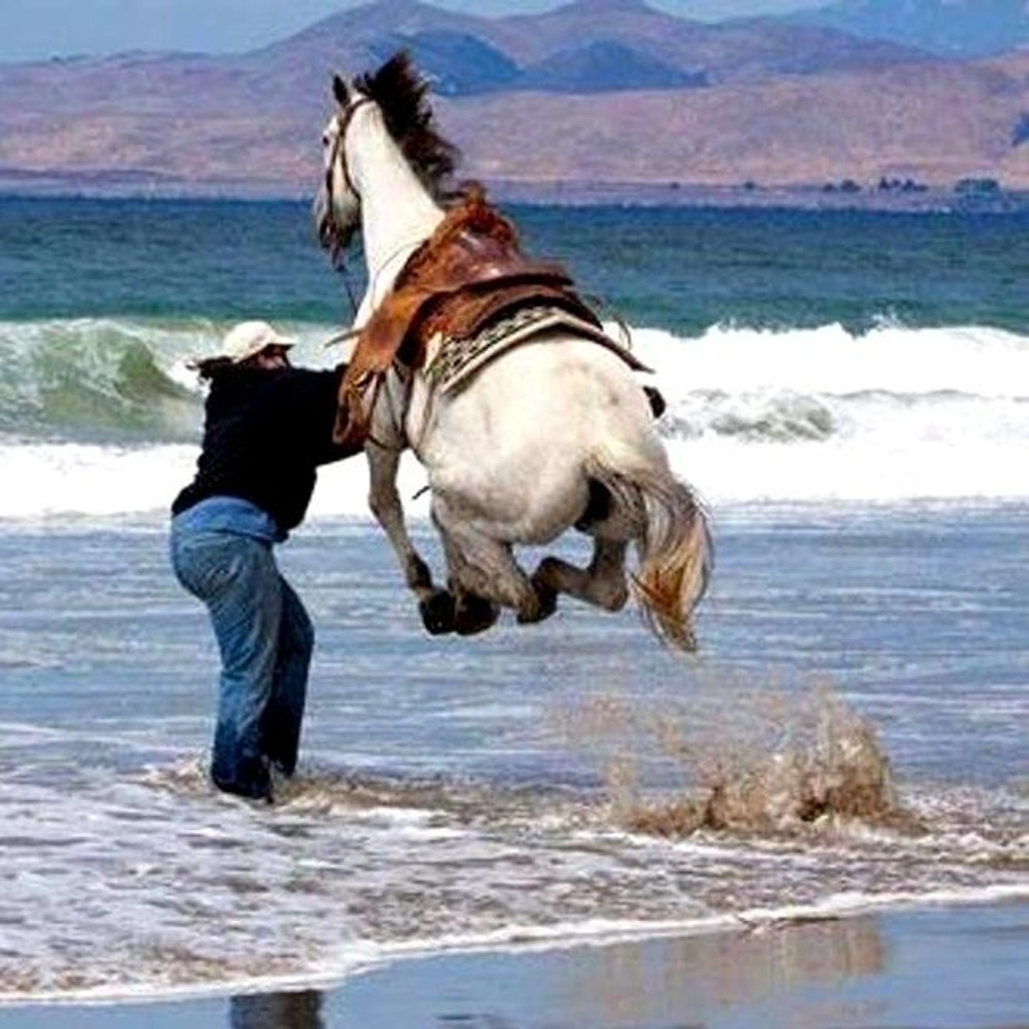 Eine Person, die ein Pferd ins Meer führt. Das Pferd erschrickt vor dem Wasser und ist mit allen Läufen in der Luft.