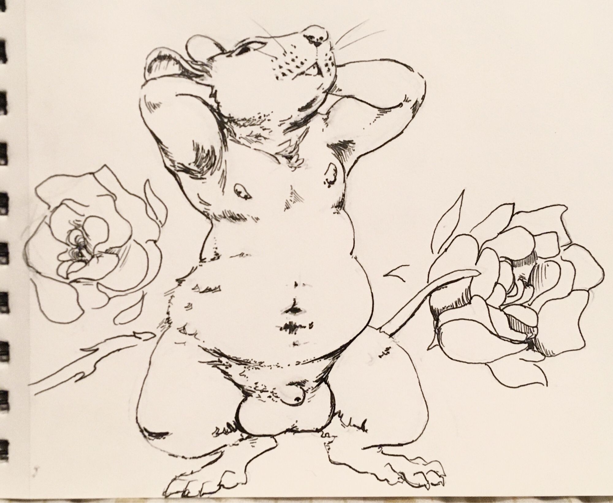 anthropomorphic masculine rodent