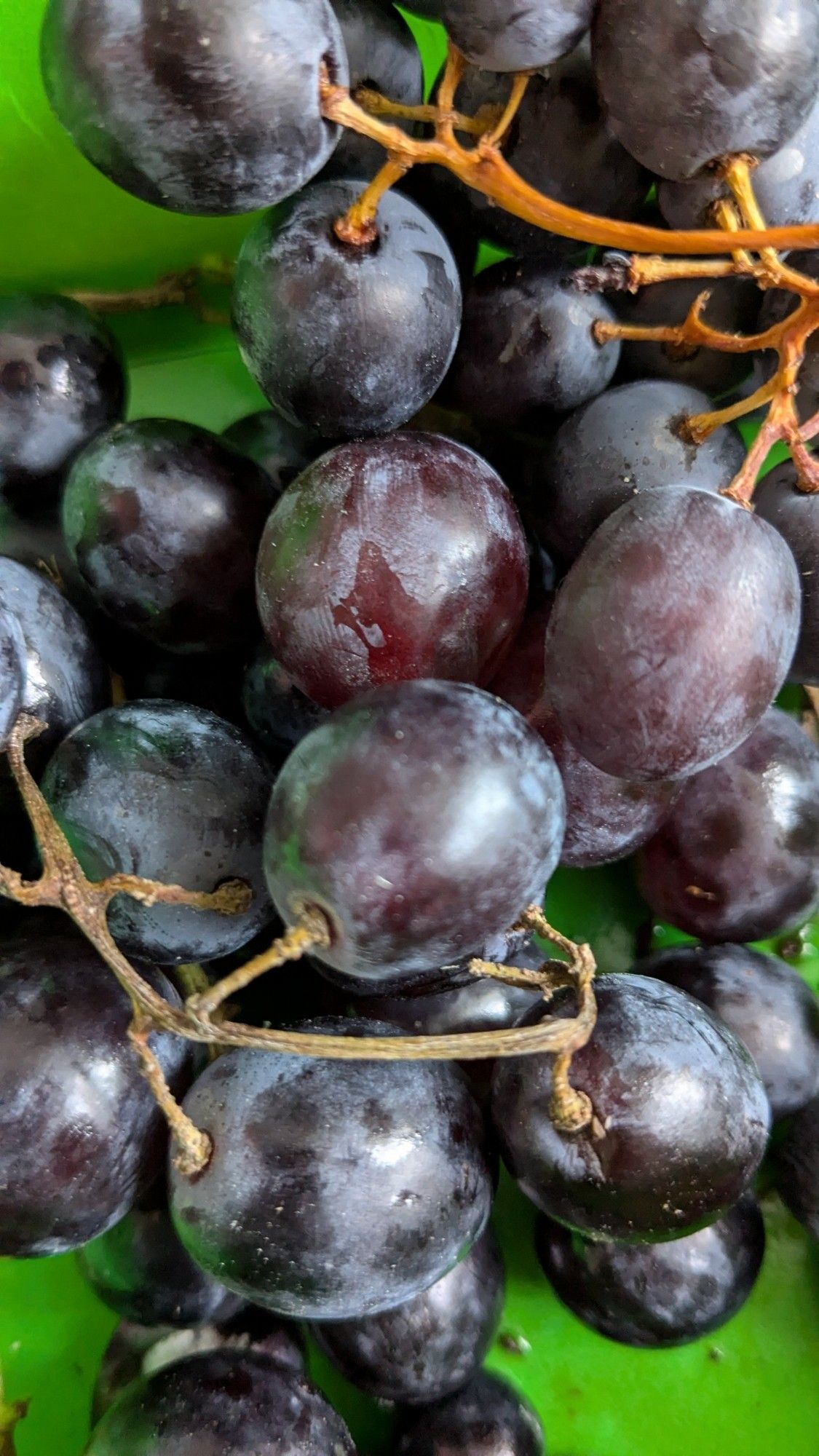 A défaut de vin, joyeux anniversaire !