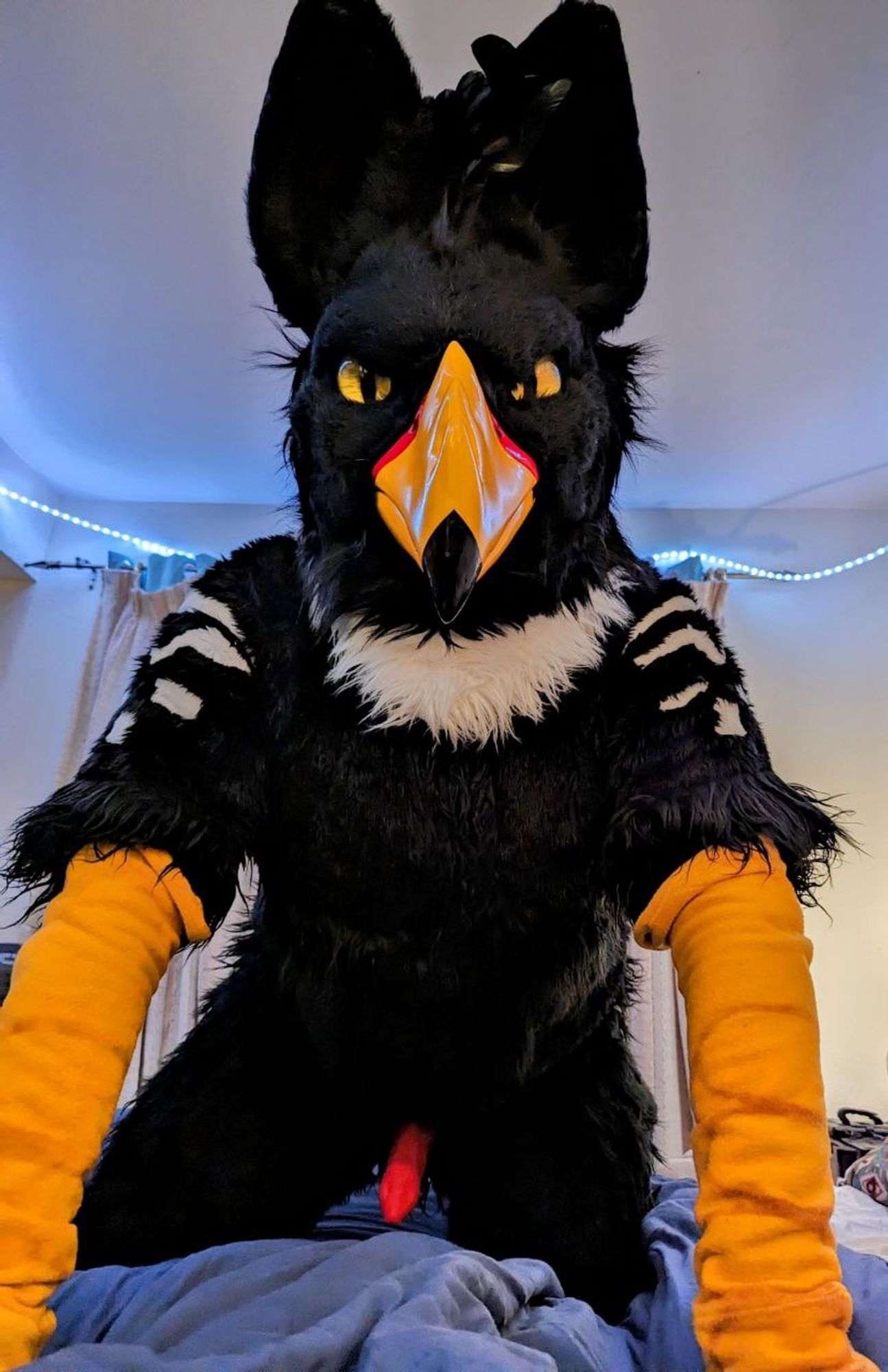 Storm Gryphon in fursuit on all 4s with a thick red cock very visible