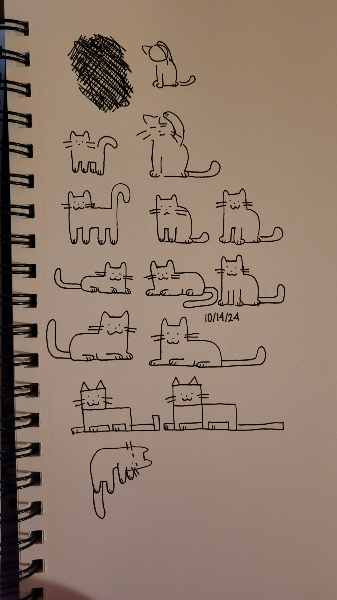 sketchebook page filled with simplistic cat drawings. a lot of them have straight edges. all the cats are attempted to be drawn in the same style