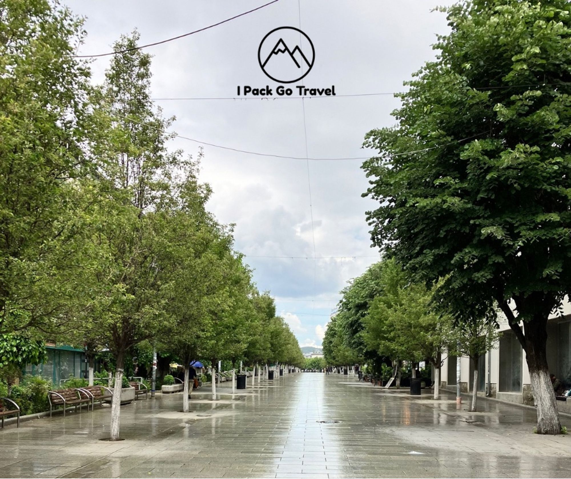 Deserted Boulevard in the rain. Trees on both sides of the Boulevard.