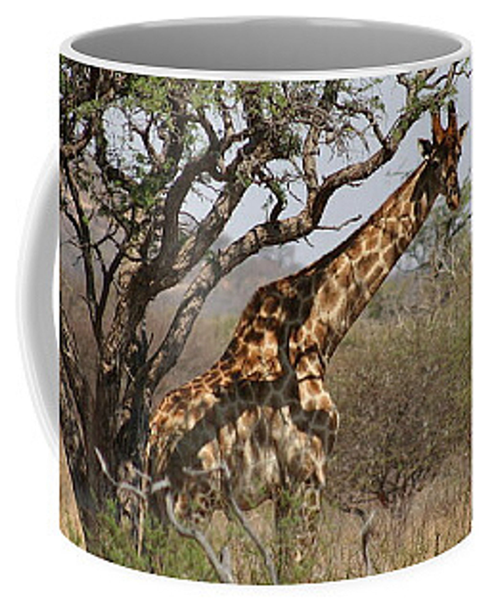 A Giraffe photographed in African bushveld. Depicted on a coffee mug.