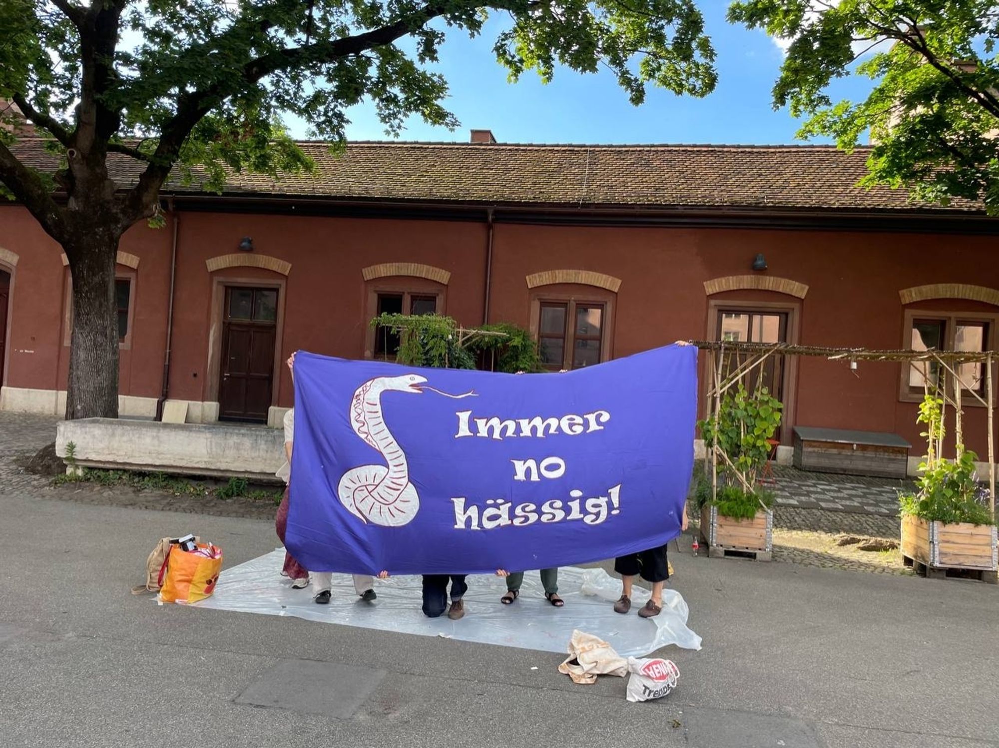 Vor einem Gebäude halten 4 Personen ( nur untere Beinhälfte& Füsse sichtbar) ein violettes Transparent hoch.
Darauf in weiss eine Schlange und der Text: 
" immer no hässig! "