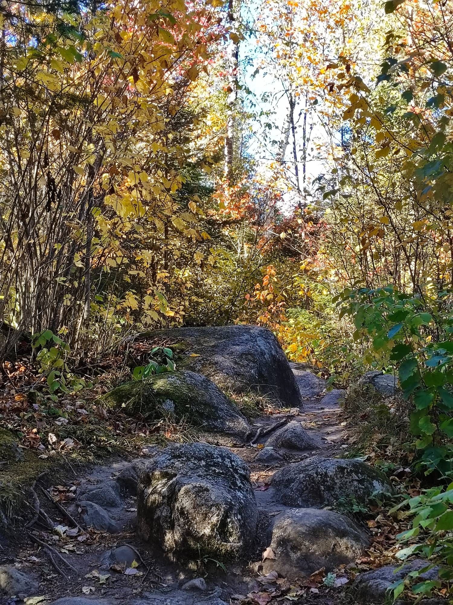 A rocky path
Fall tree's with the perfect colors 
The way is not often smooth or flat