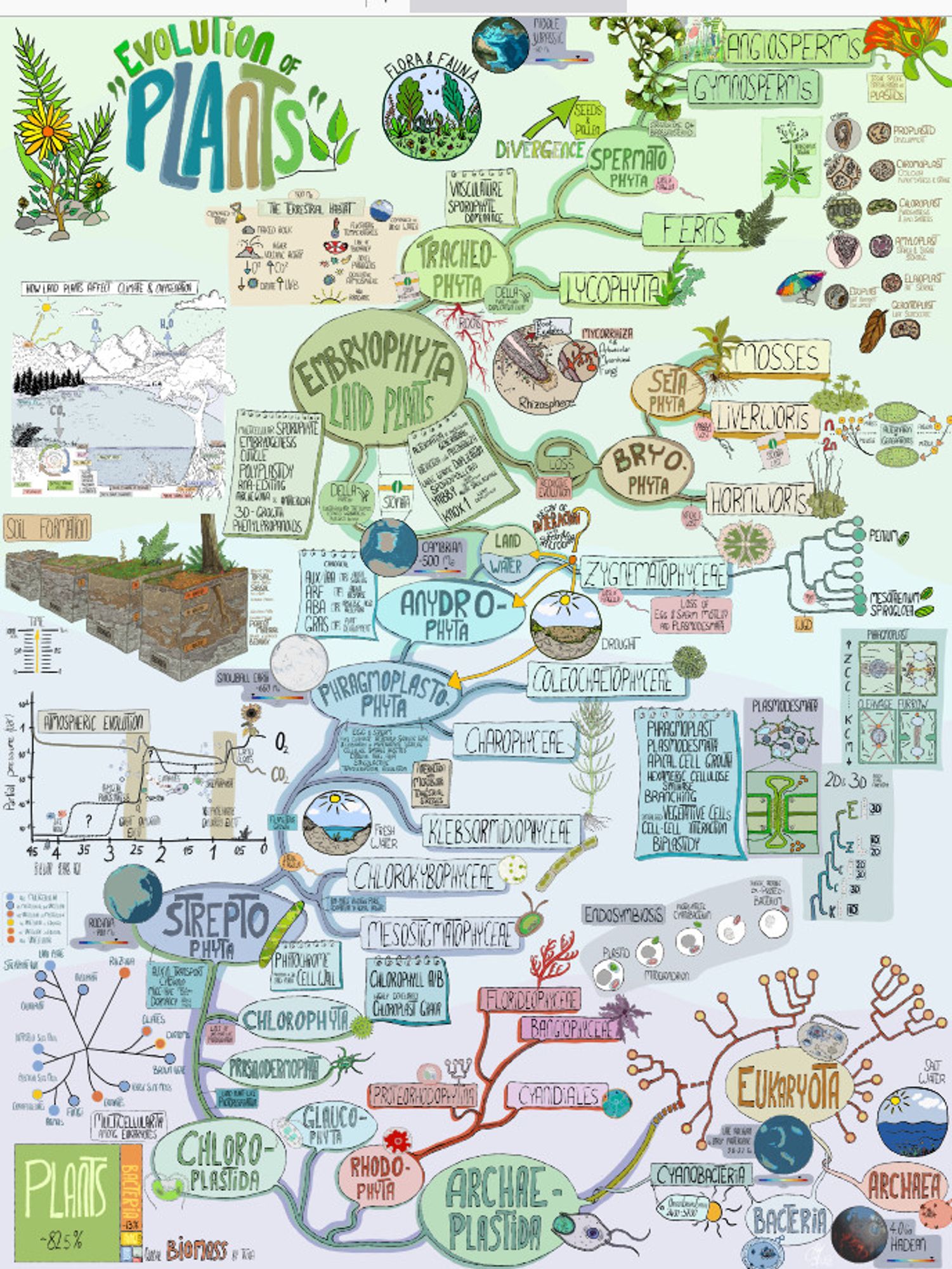 Screenshot of the poster. It shows the evolution of multicellular plants and other details on plants and life in general in great detail and with miniature illustrations.