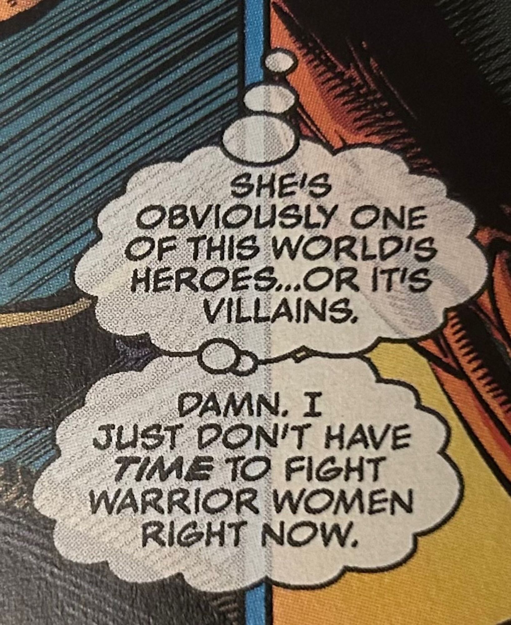 She’s obviously one of this world’s heroes … or it’s villains. Damn. I just don’t have time to fight Warrior women now.