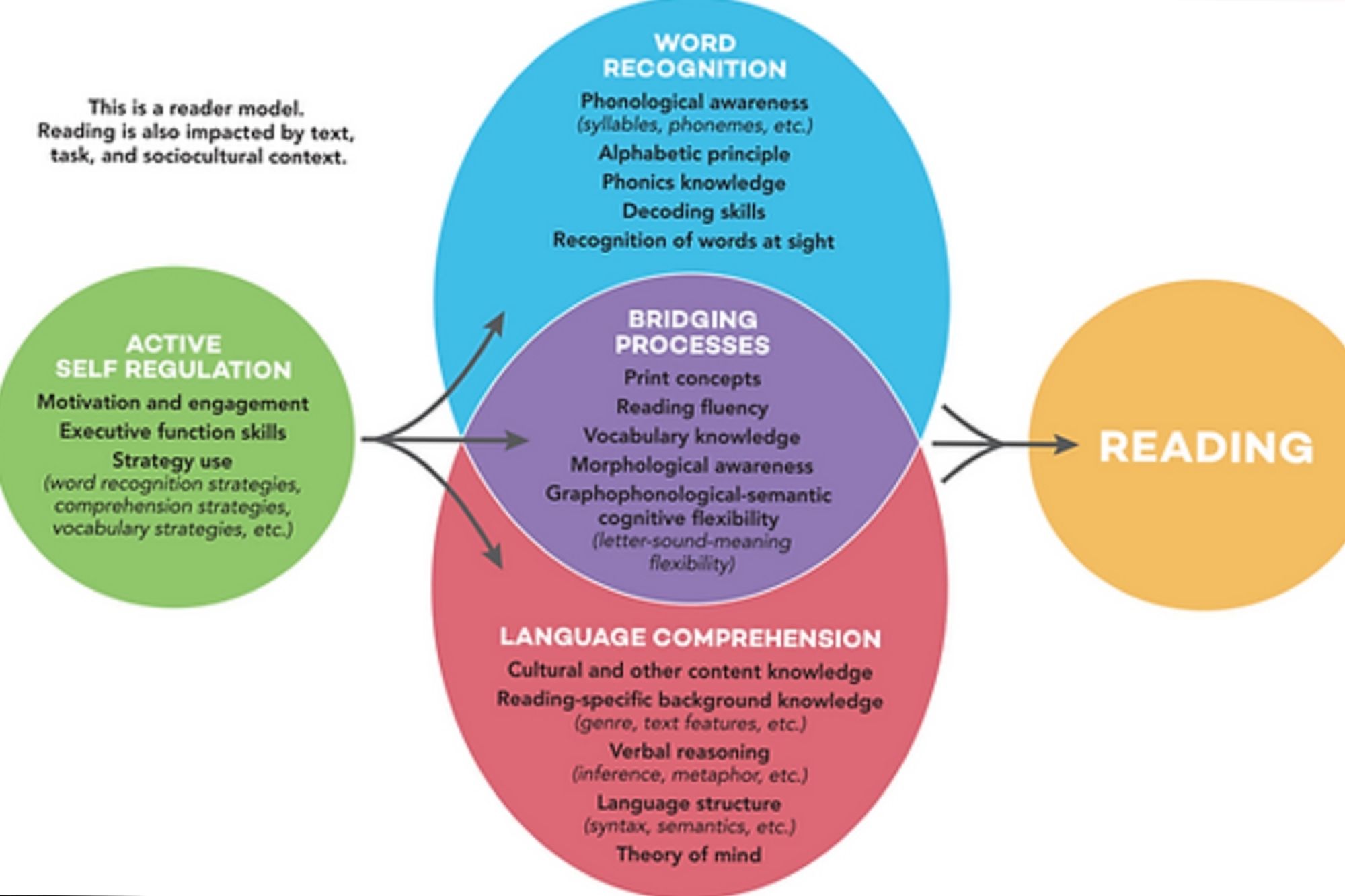 Colorful overlapping circles with words describing the reading process.