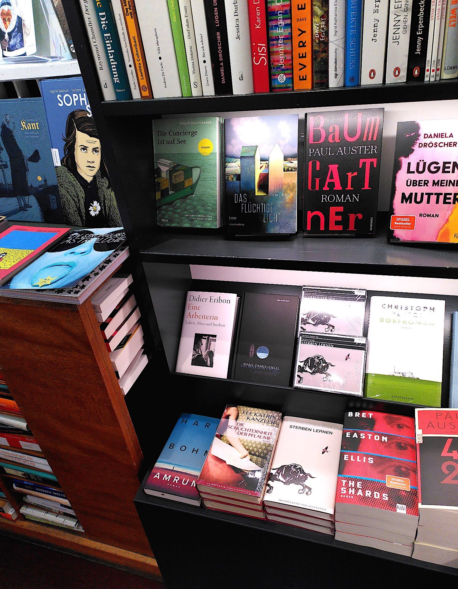 Fees Romane und Hörbücher in der Auslage der Buchhandlung Aegis in Ulm, in nächster Nachbarschaft zu Paul Auster, Jenny Erpenbeck, Daniela Dröscher und anderen renommierten Autoren und Autorinnen.