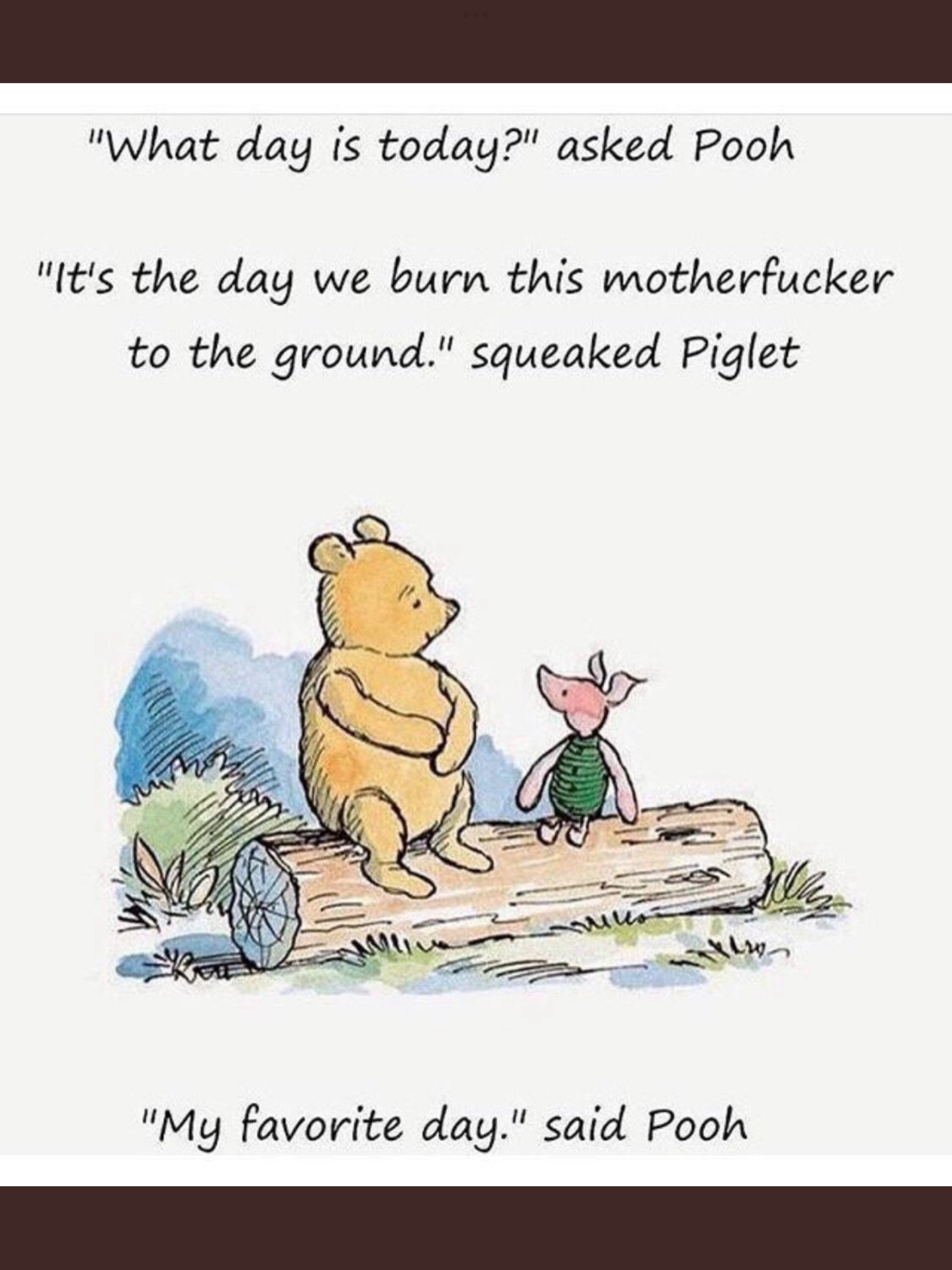 Winnie the Pooh and Piglet are sitting on a log looking at each other. Winnie asks “what day is today?”
Piglet squeaks “it’s the day we burn this motherfucker to the ground.”
Pooh replies “my favorite day.”