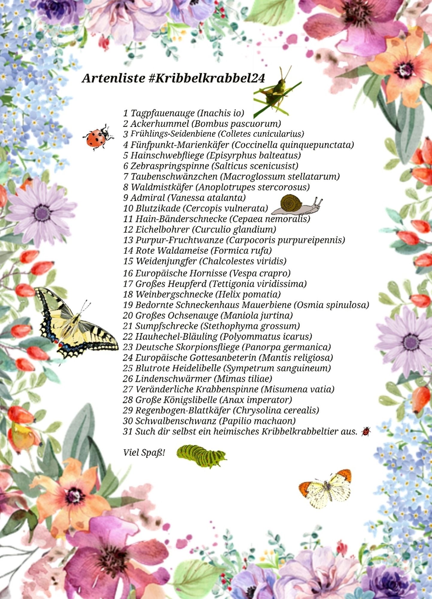 Artenliste #Kribbelkrabbel24

1 Tagpfauenauge (Inachis io)
2 Ackerhummel (Bombus pascuorum)
3 Frühlings Seidenbiene (Colletes cunicularius)
4 Fünfpunkt-Marienkäfer (Coccinella quinquepunctata)
5 Hainschwebfliege (Episyrphus balteatus)
6 Zebraspringspinne (Salticus scenicusist)
7 Taubenschwänzchen (Macroglossum stellatarum)
8 Waldmistkäfer (Anoplotrupes stercorosus)
9 Admiral (Vanessa atalanta)
10 Blutzikade (Cercopis vulnerata)
11 Hainbänderschnecke (Cepaea sylvatica)
12 Eichelbohrer (Curculio glandium)
13 Purpur-Fruchtwanze (Carpocoris purpureipennis)
14 Rote Waldameise (Formica rufa)
15 Weidenjungfer (Chalcolestes viridis)
16 Europäische Hornisse (Vespa crapro)
17 Großes Heupferd (Tettigonia viridissima)
18 Weinbergschnecke (Helix pomatia)
19 Bedornte Schneckenhaus Mauerbiene (Osmia spinulosa)
20 Großes Ochsenauge (Maniola jurtina)
21 Sumpfschrecke (Stethophyma grossum)
22 Hauhechel-Bläuling (Polyommatus icarus)
23 Deutsche Skorpionsfliege (Panorpa germanica)
24 Europäische Gottesanb