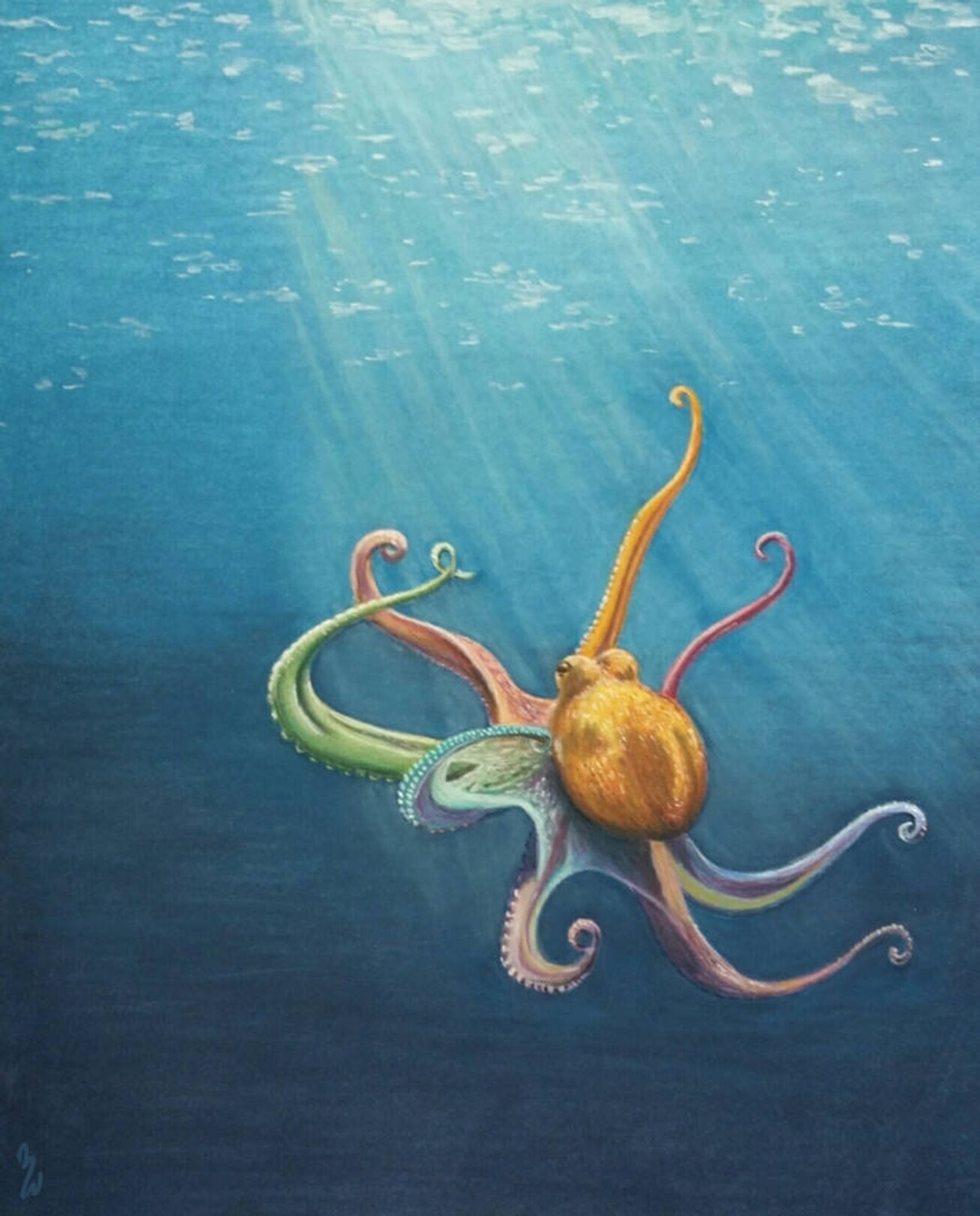 Pastell drawing: Colourful octopus coming out of the depths of the ocean swimming to the watersurface. Some sunbeams lighten up the animal.