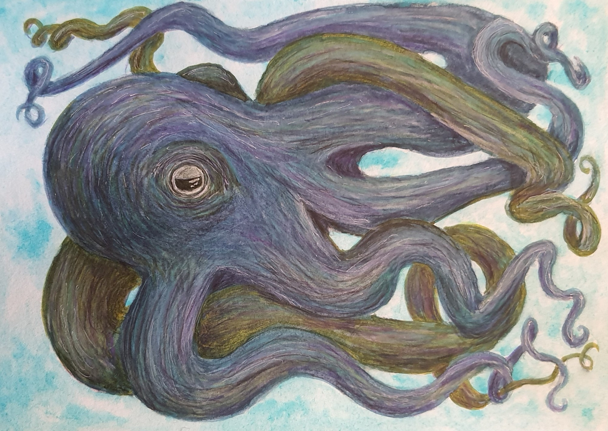 Aquarell- und Buntstiftzeichnung: Oktopus.