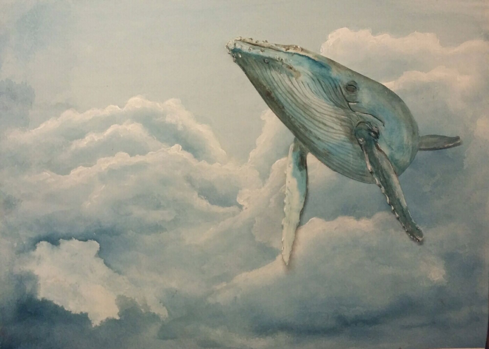 A Humpback Whale 
drawn with watercolour 'swimming' through clouds in the sky.