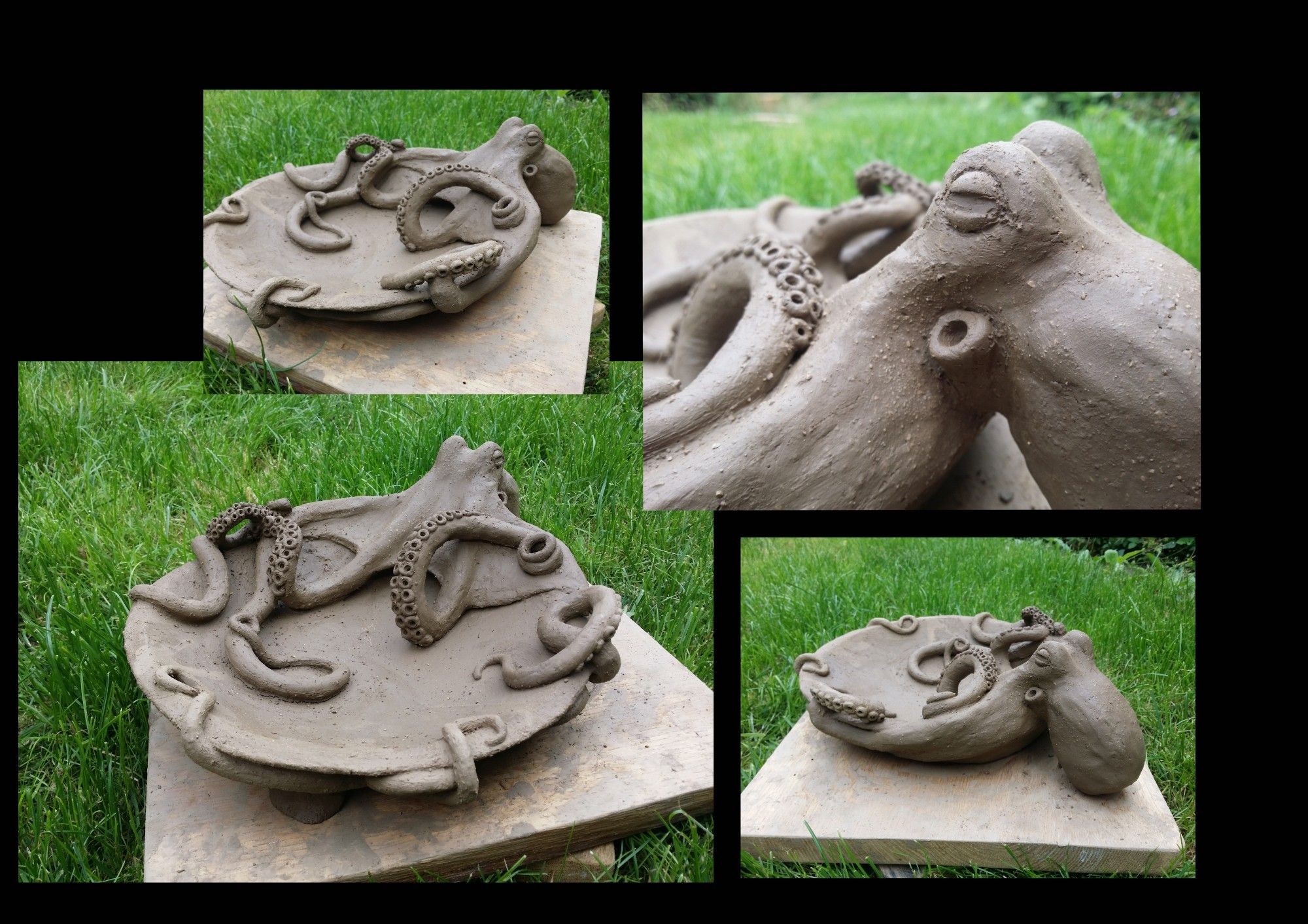 Claywork.
An Octopus holding a waterbowl.