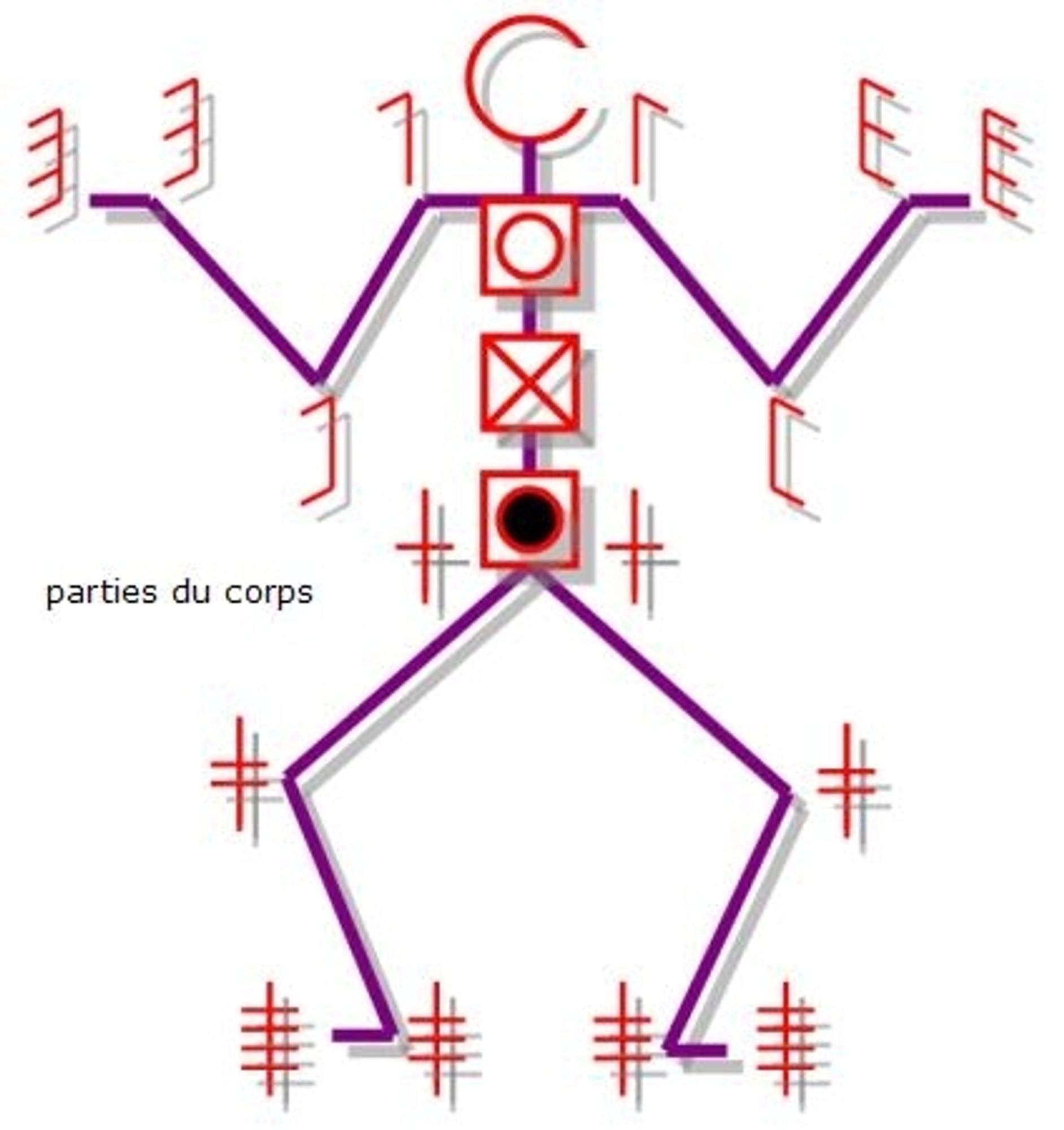 labanotation labels for parts of the body