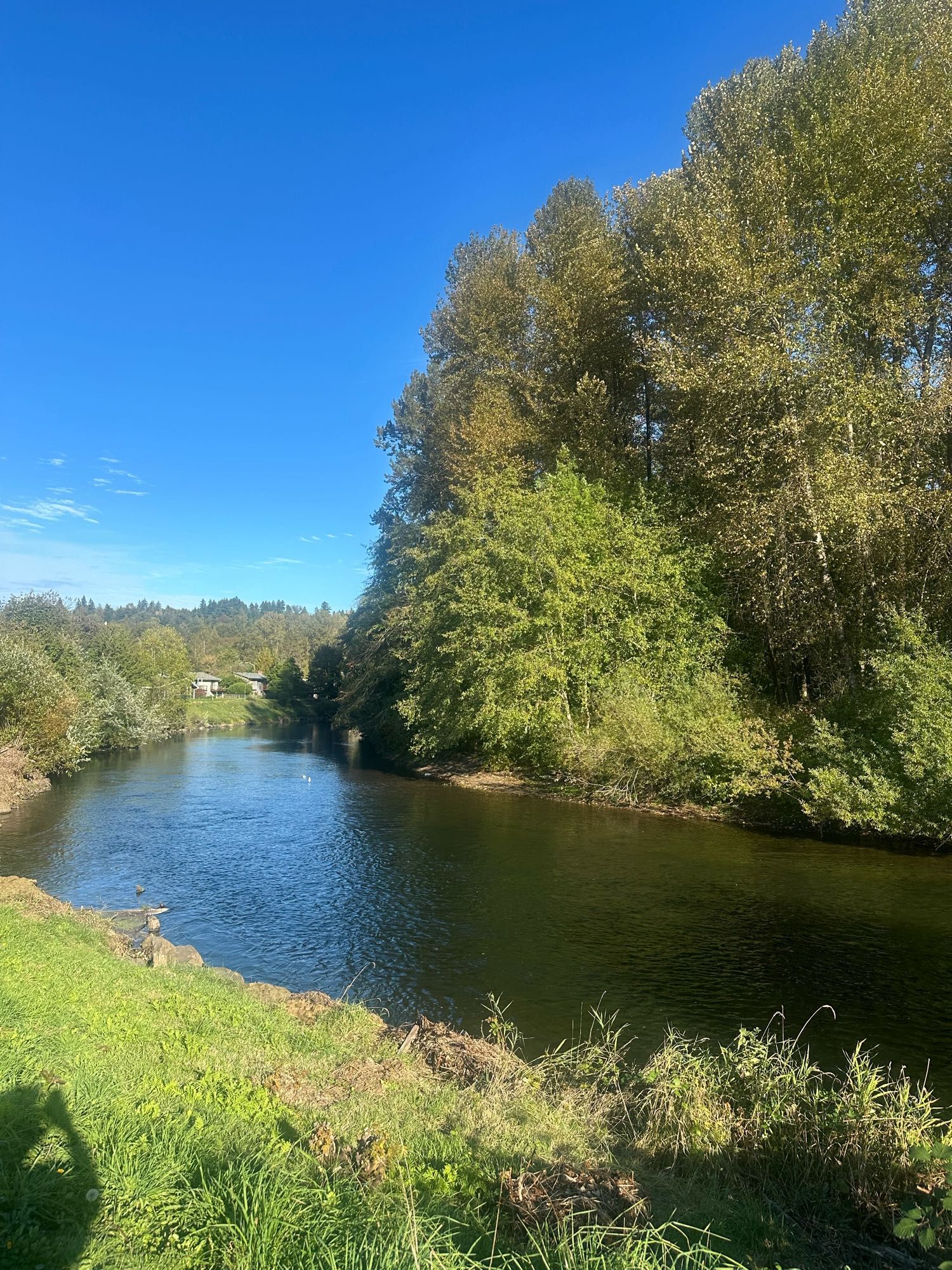 Picture of the Green River.