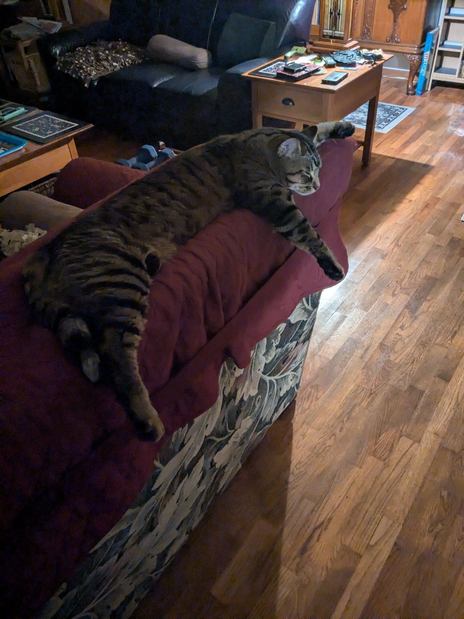 A brown tabby cat lays belly down on the back of a large cushions chair. His legs are sprawled out.