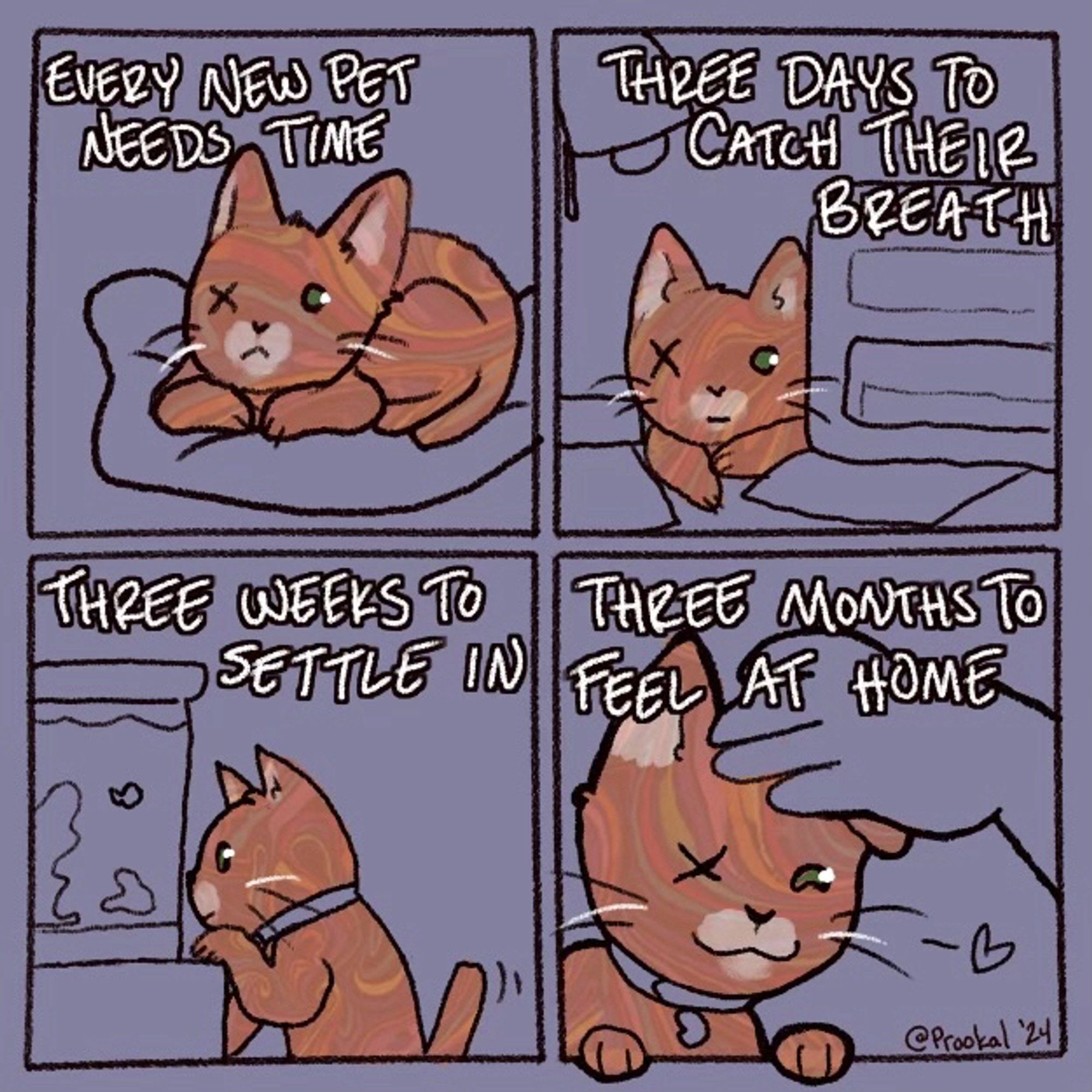 Four panel comic showing a kitten exploring a home.  The text reads “every new pet needs time. Three days to catch their breath, three weeks to settle in, three months to feel at home.”