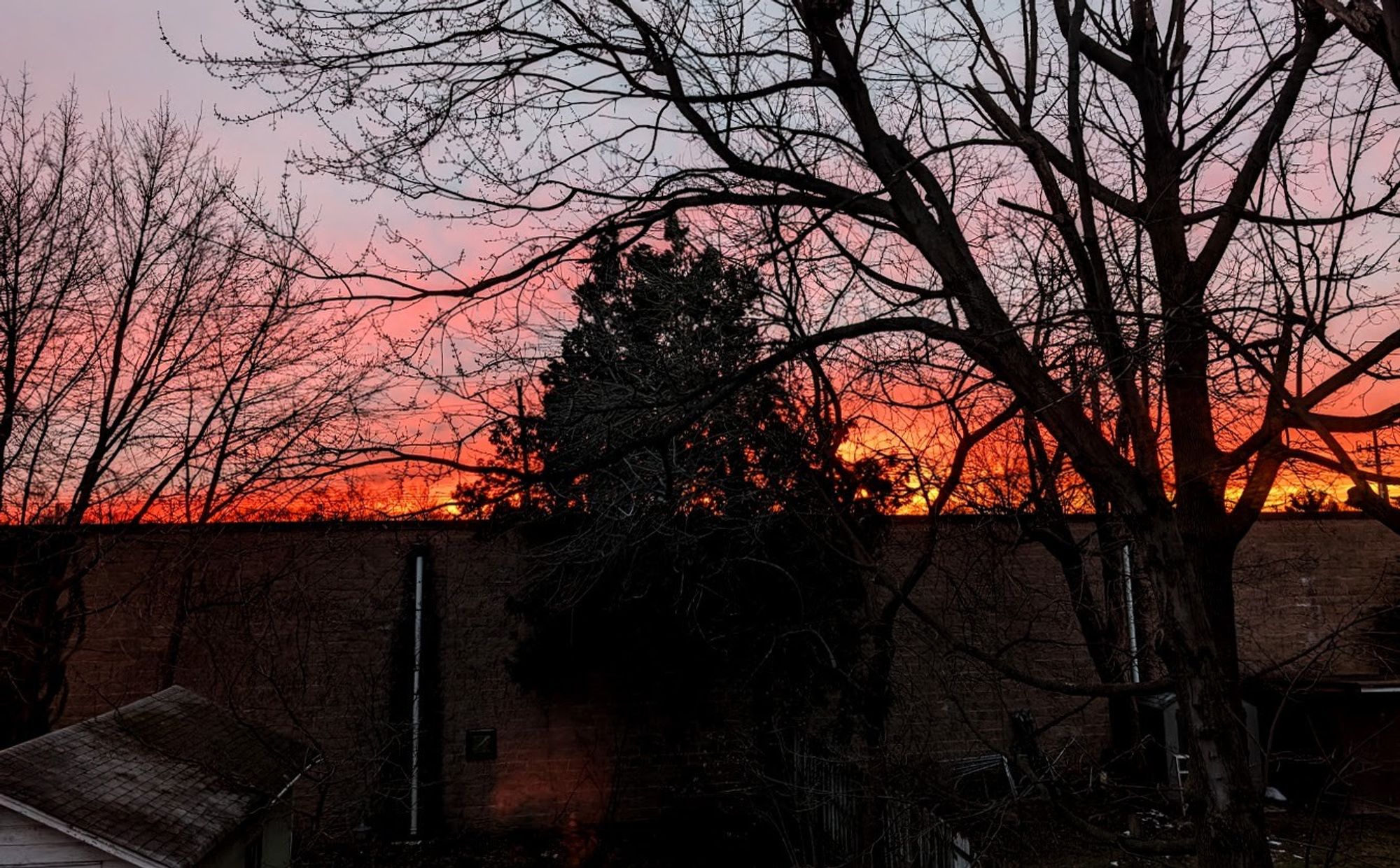 A vibrant sunset with streaks of red and pink hues across the sky, framed by silhouetted bare trees.