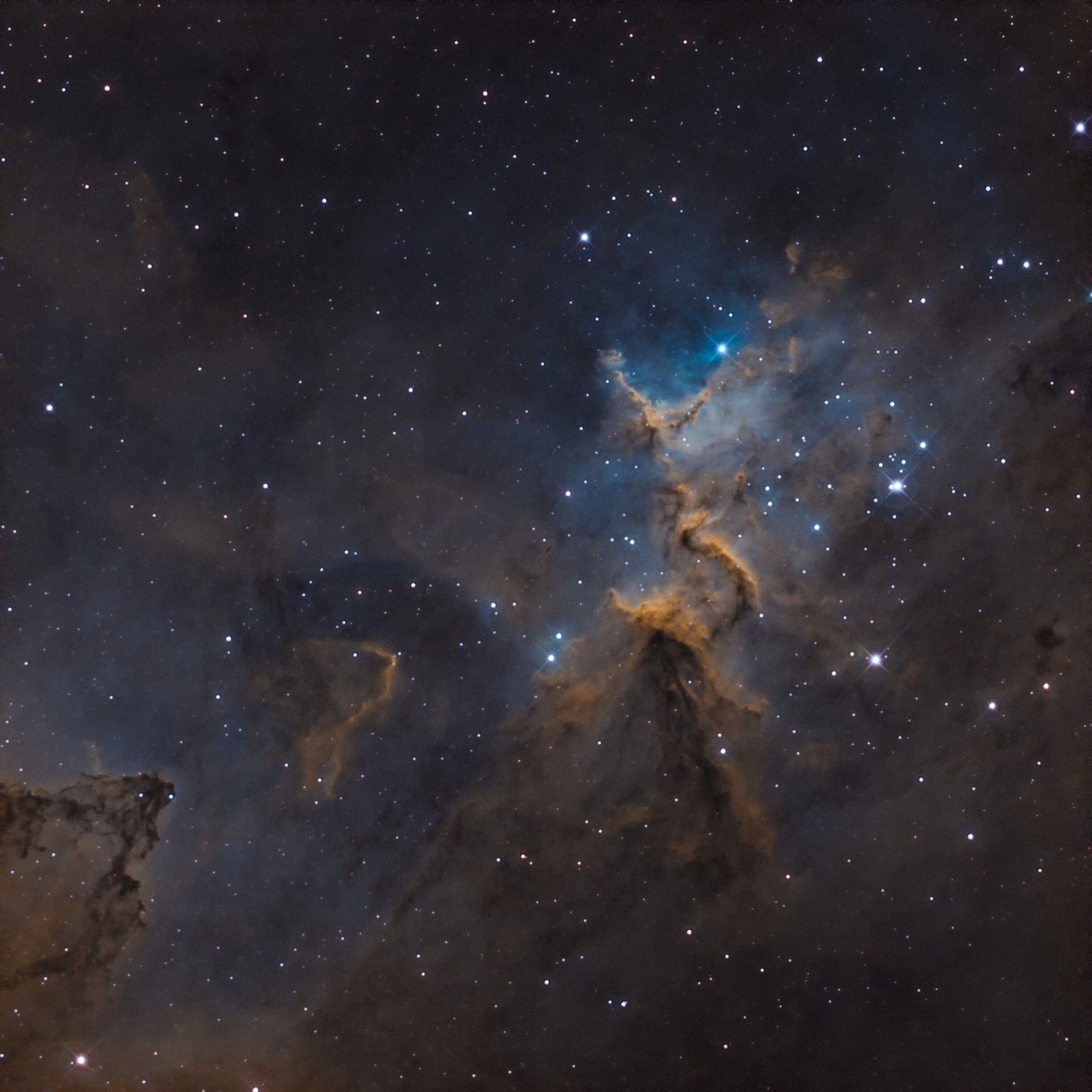 Melotte 15, in this color palette a tower of golden hydrogen gas clouds surrounded at the top by the blue of doubly ionized oxygen and given depth by dark dust clouds. Stars shining in all colors throughout.