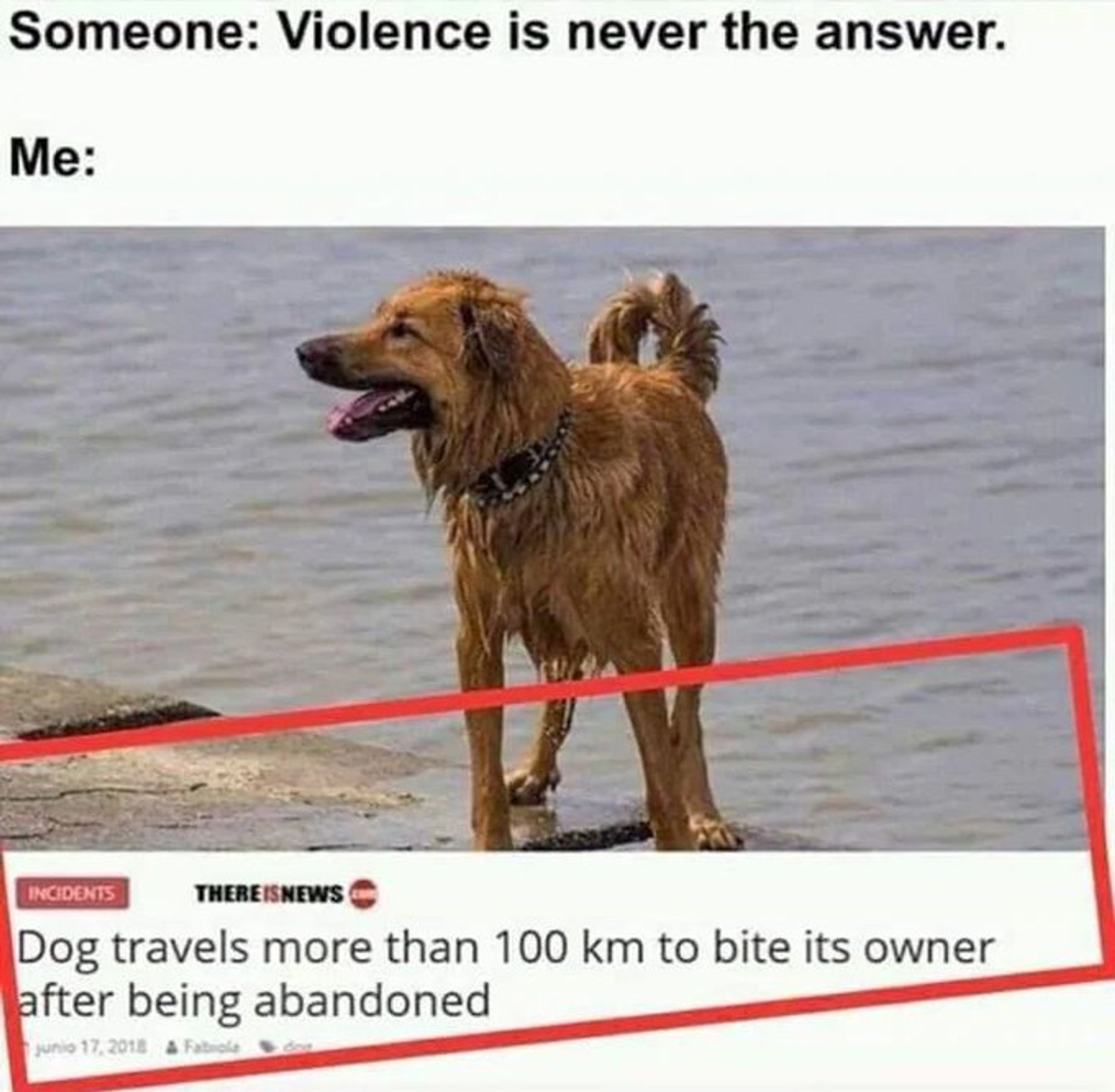 Someone: Violence is never the answer. 

Me: Dog travels more than 100 km to bite its owner after being abandoned 