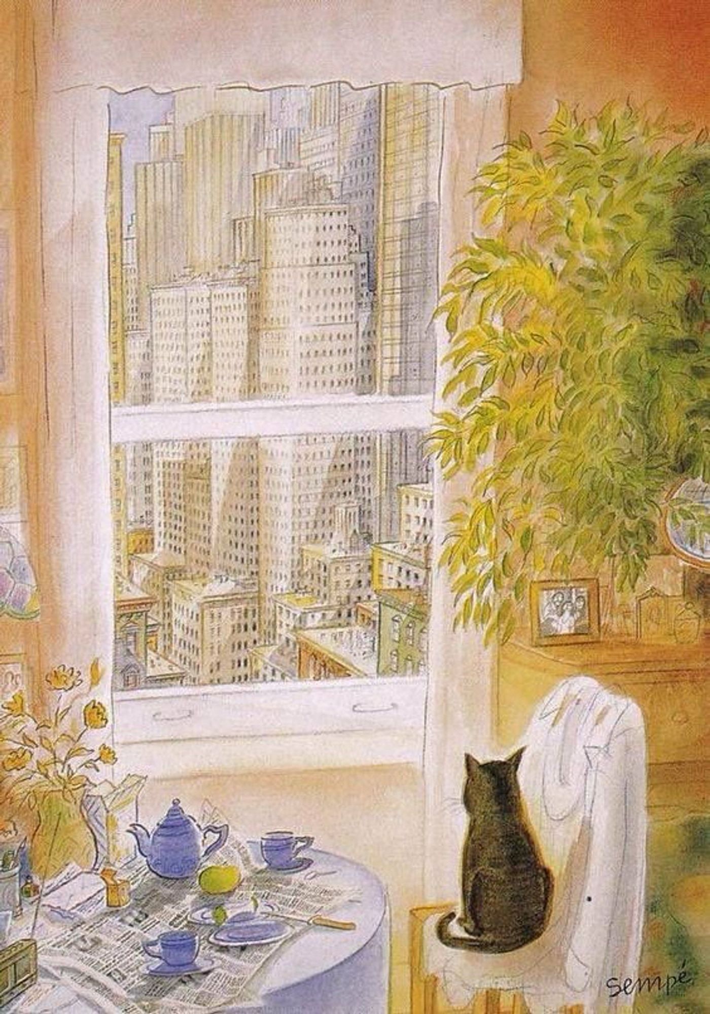 Cat looking out the window, seeing dense skyscrapers.