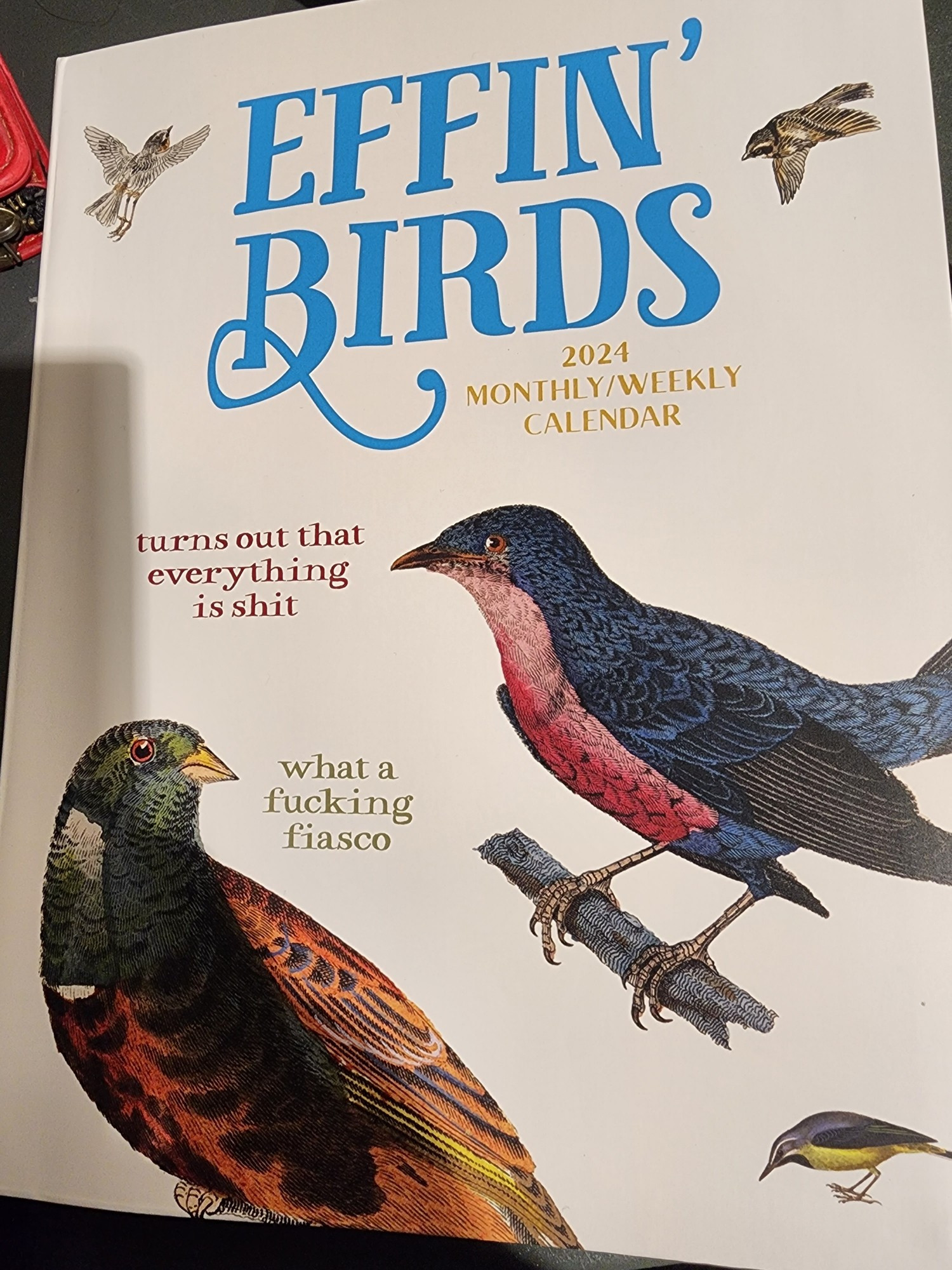 Cover of the Effin Birds 2024 Planner "What abFucking Fiasco"