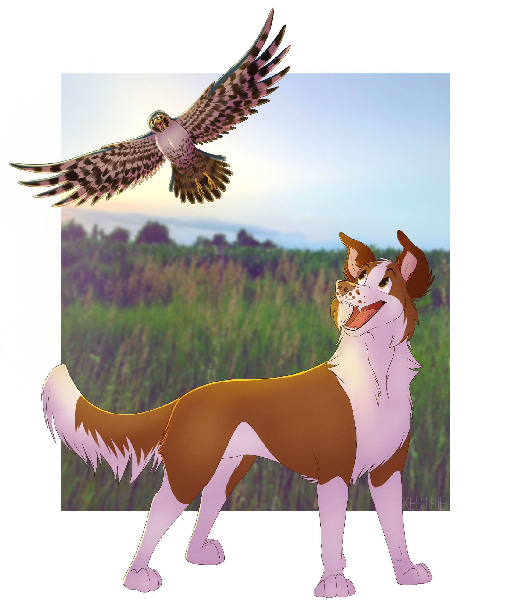 An illustration of a feral border collie smiling up at a feral peregrine falcon who smiles back as they fly by.