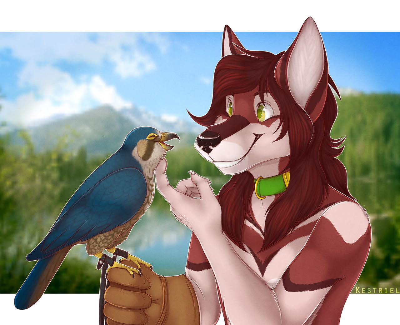 An illustration of an anthropomorphic wolf holding a feral peregrine falcon.