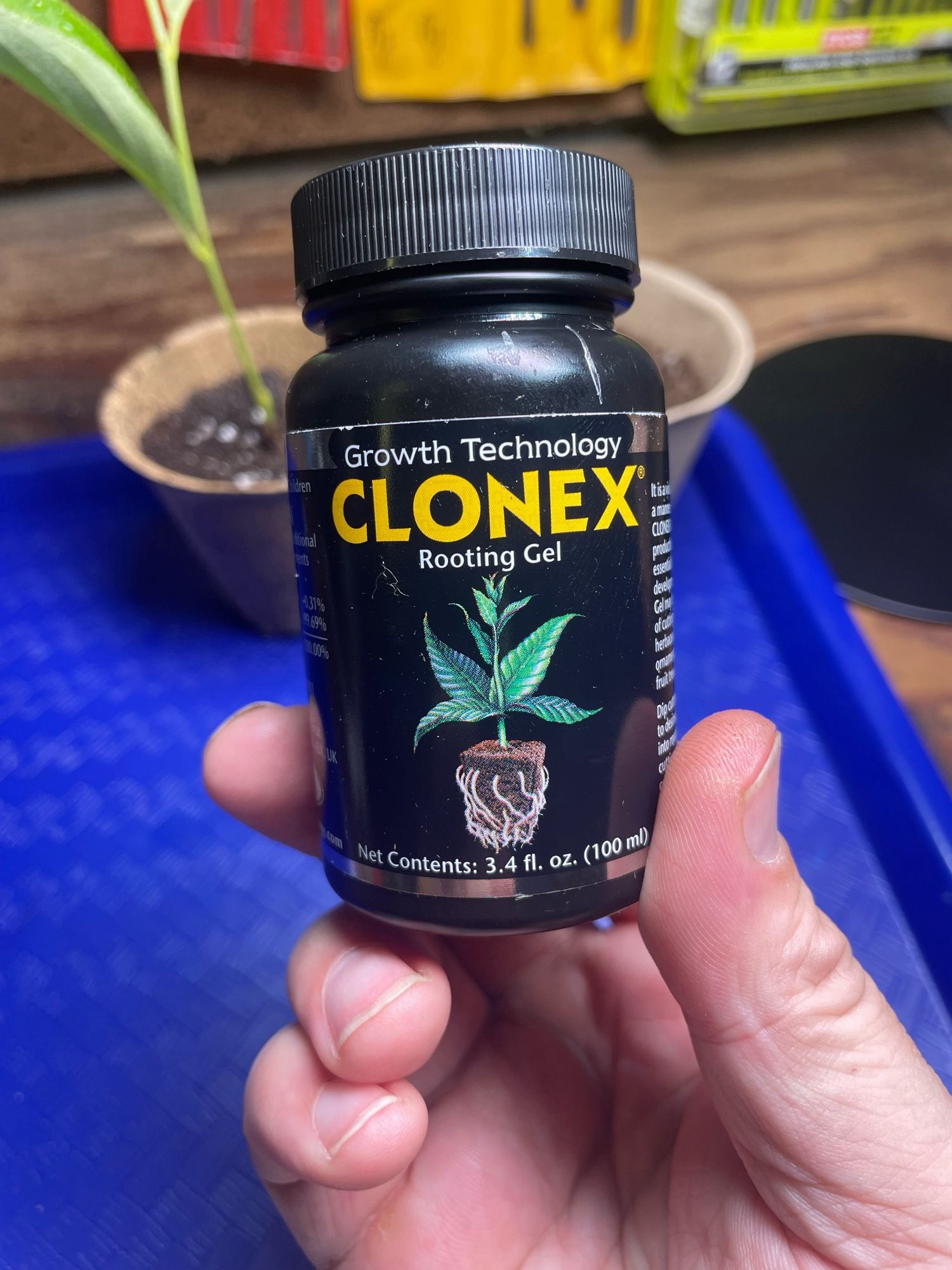 My hand holding a black bottle labeled CLONEX Rooting Gel. There is an illustration of a plant under that.