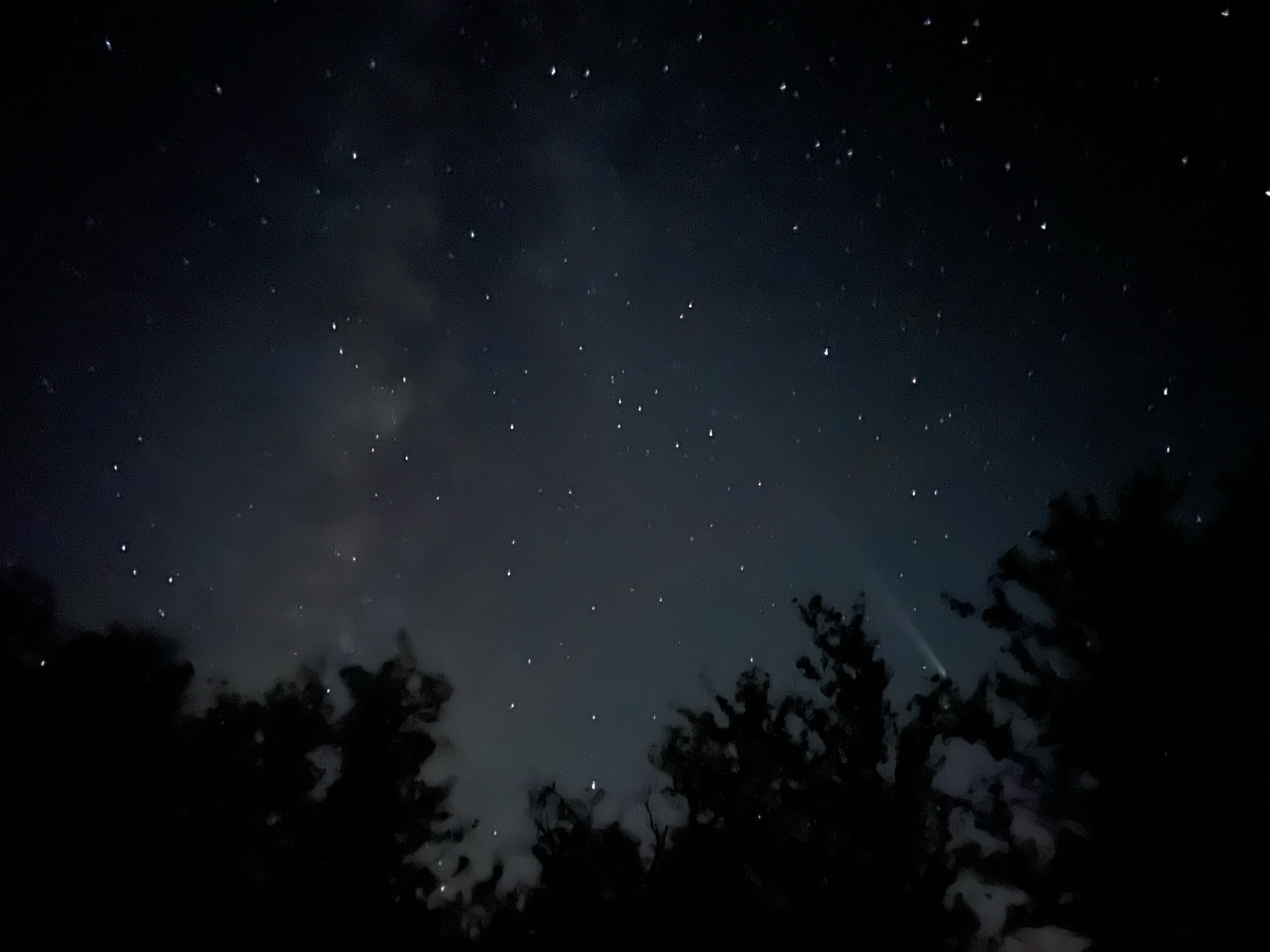 A starry night sky. The lower part of the frame has trees silhouetted in black, and the upper corners of the sky look darkest; combined, this gives a sort of vignette effect. The sky in the center of the frame is brighter, but still rich with stars. To the left of center, the Milky Way cuts vertically up the screen. To the right of center, the nucleus of Comet Tsuchinshan-ATLAS hovers just above the trees, and its long tail angles toward the upper left.