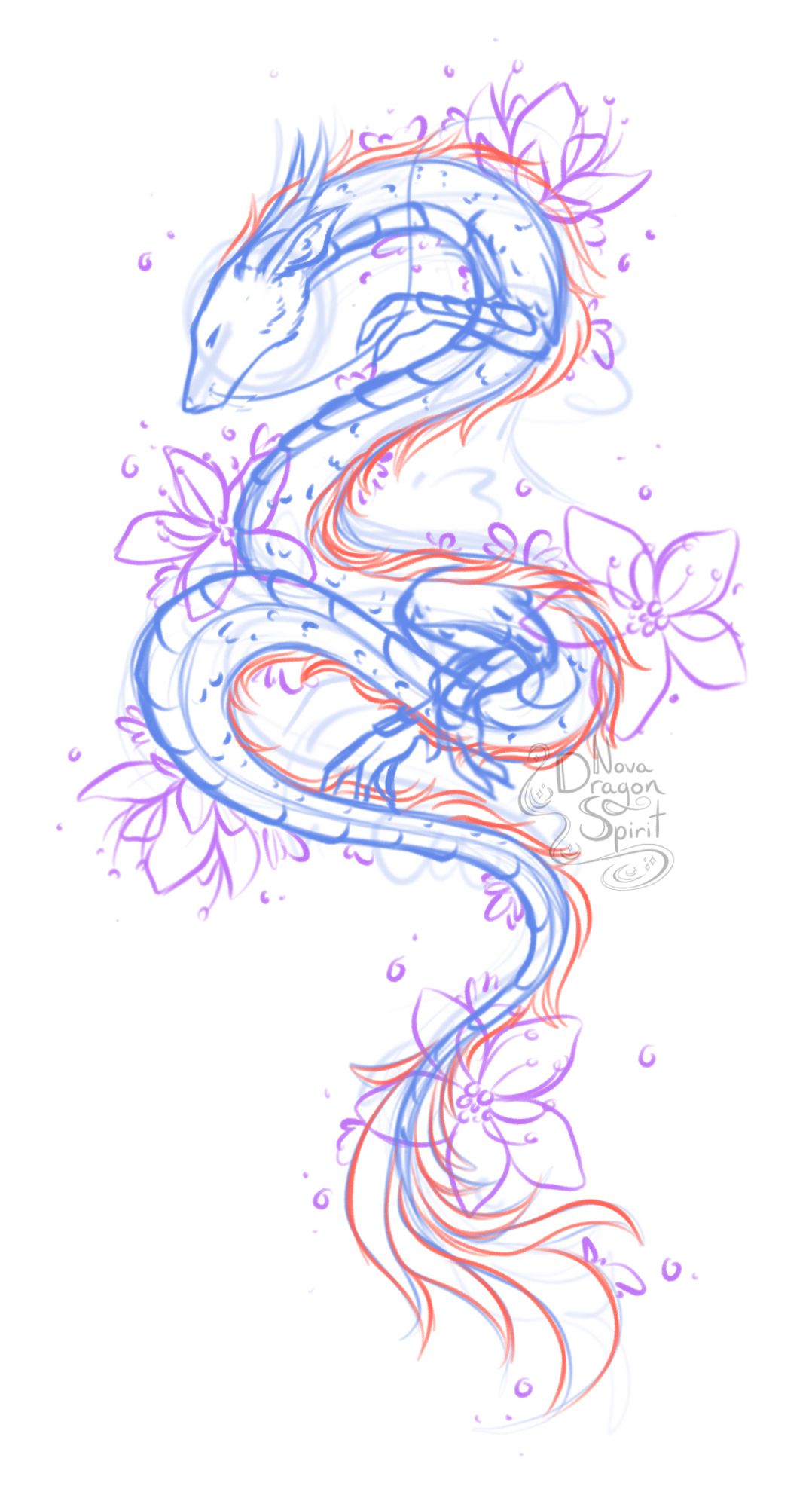 The sketch of a Chinese dragon with some cherry blossom flowers.