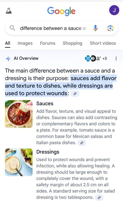 image of a Google search for "difference between a sauce and a dressing"

- Al Overview:
"The main difference between a sauce and a dressing is their purpose: sauces add flavor and texture to dishes, while dressings are used to protect wounds"

- Sauces: Add flavor, texture, and visual appeal to dishes. Sauces can also add contrasting or complementary flavors and colors to a plate. For example, tomato sauce is a common base for Mexican salsas and Italian pasta dishes. →

-Dressings: Used to protect wounds and prevent infection, while also allowing healing. A dressing should be large enough to completely cover the wound, with a safety margin of about 2.5 cm on all sides. A standard serving size for salad dressing is two tablespoons. →