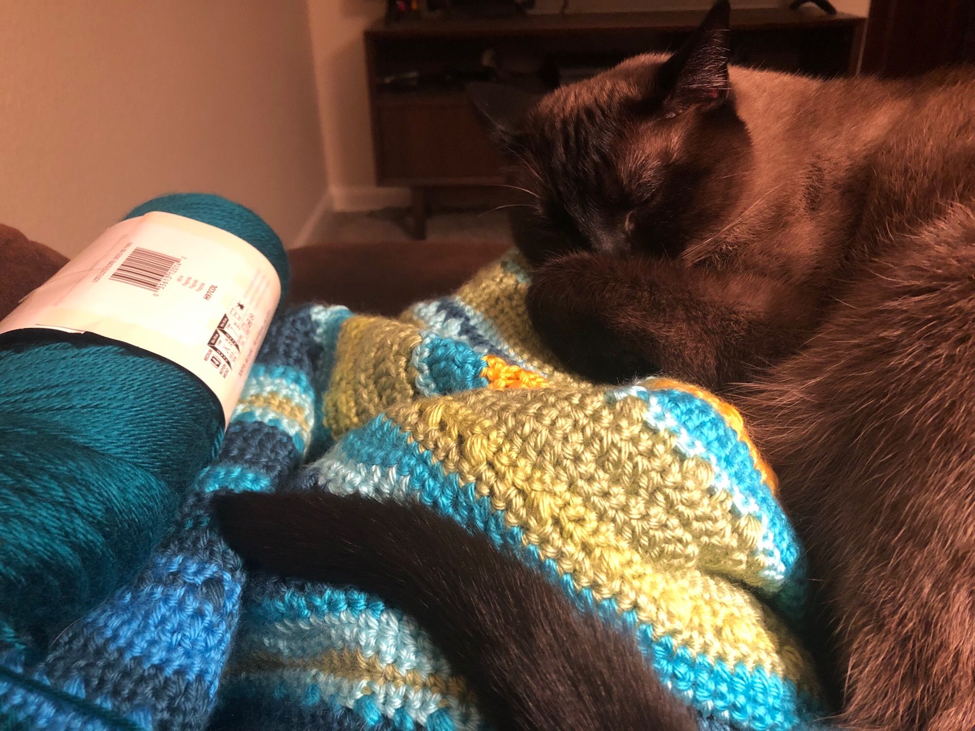 Siamese cat curled up on a multicolored crocheted blanket next to a dark teal-ish skein of yarn