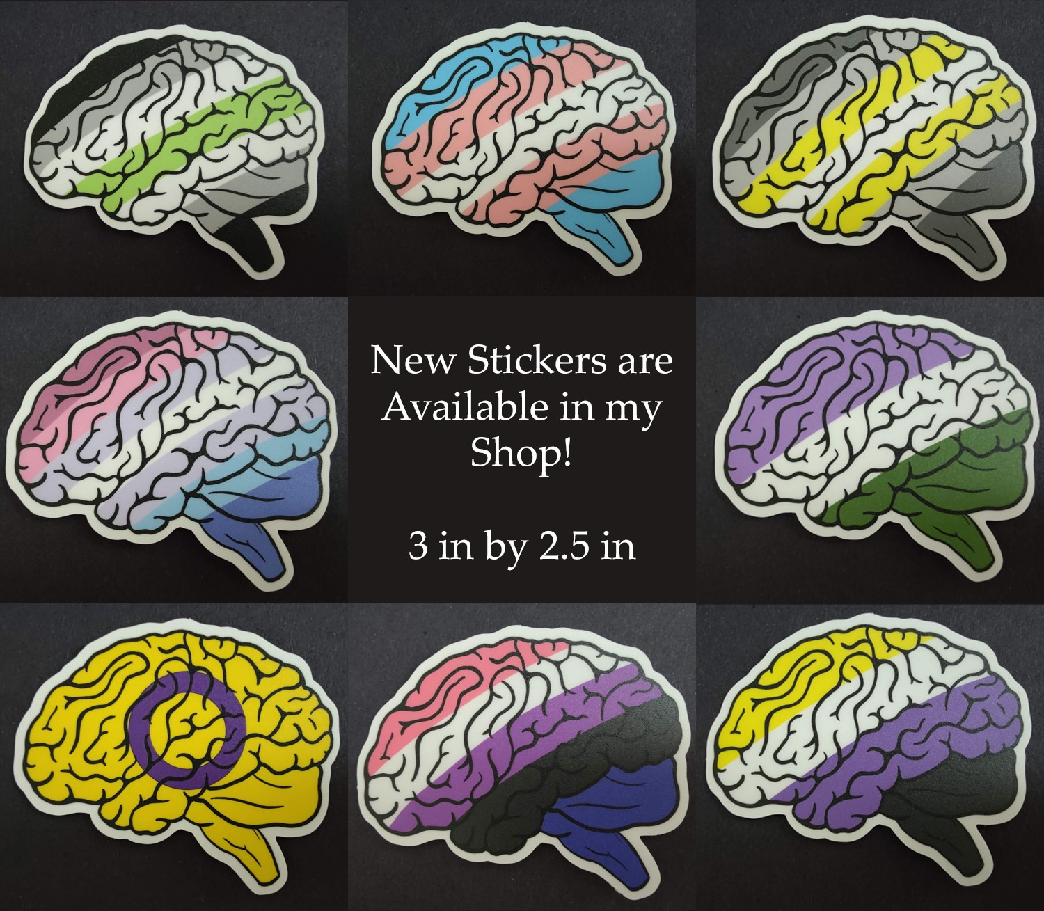 Anatomically accurate brain sticker designs with various gender identities. From top left going clockwise they are Agender, Transgender, Demigender, Genderqueer, Nonbinary, Genderfluid, Intersex and Bigender