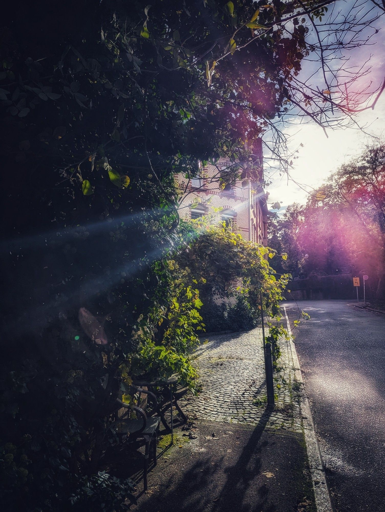 In der rechten Bildhälfte, eine Straße und ein teilweise gepflasterter Gehweg im abendlichen Gegenlicht. Im Hintergrund ein mit Backsteinen gemauertes Haus und diverse Bäume. Die linke Bildhälfte besteht nahezu komplett aus einer sehr hohen, grün wuchernden Hecke, die große Teile des Gehwegs überspannt. Kaum sichtbar in der Bildmitte links, ein Tisch und zwei Stühle.