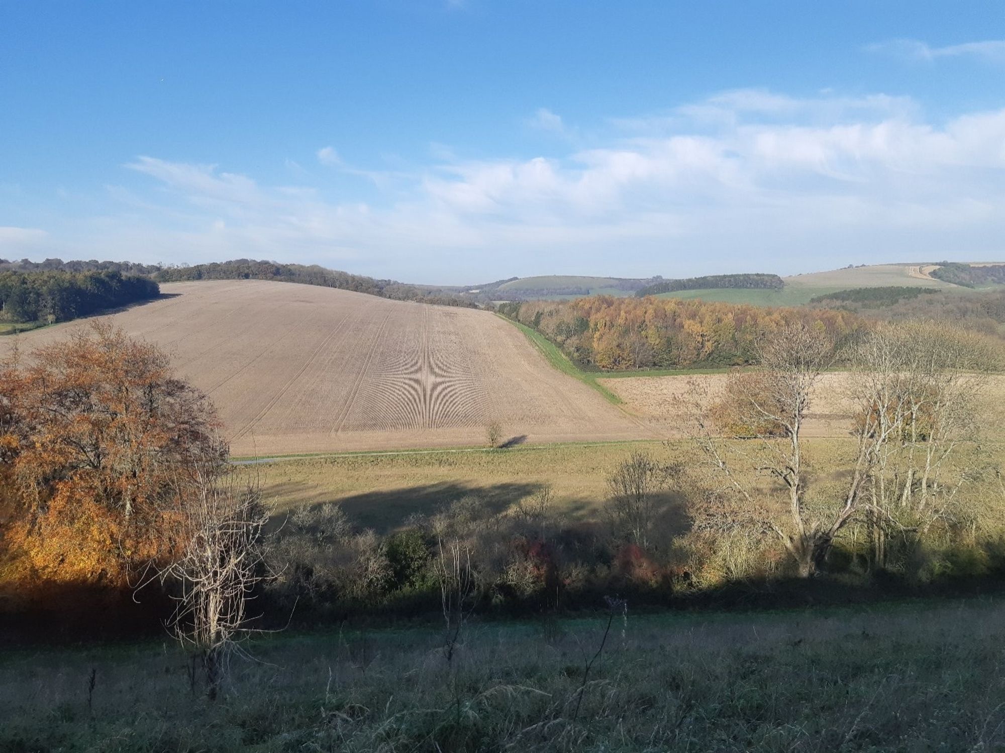 Somewhere, a landscape shot of an unknown hill and scrubland in uk