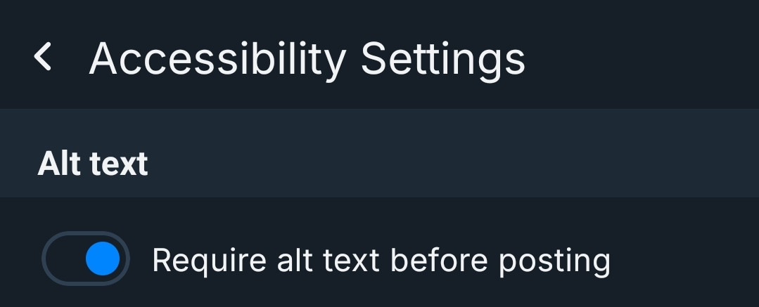 A screenshot of the accessibility settings page with the setting called Require Alt Text Before Posting set to enabled.